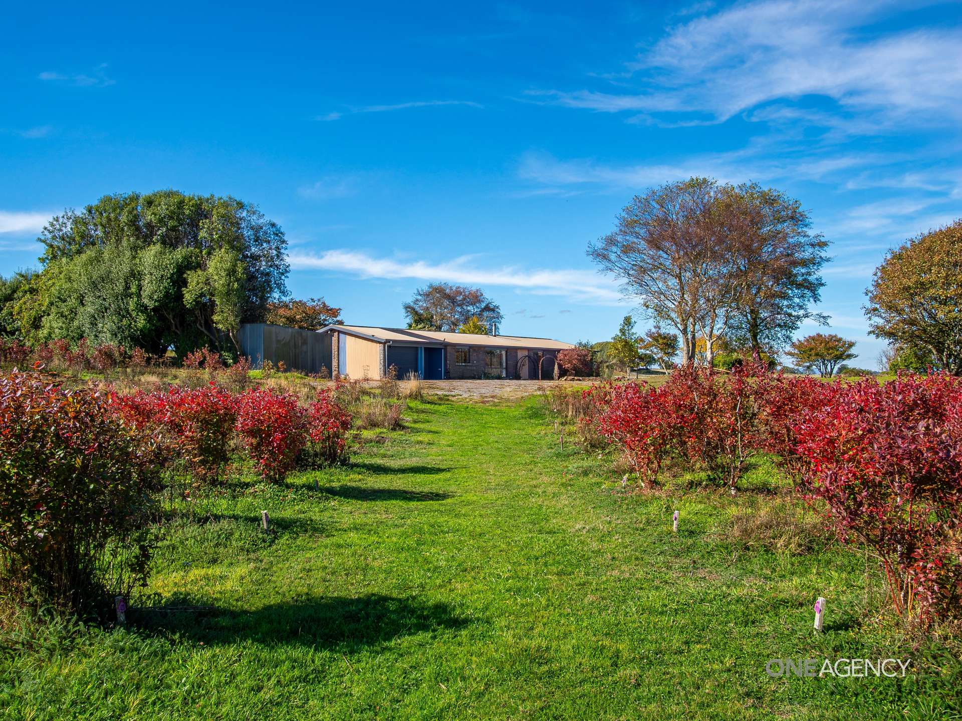 11 Rawlings Road, Lileah Sold by Farmbuy.com - image 21