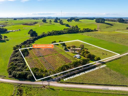 Farm Sold - TAS - Lileah - 7330 - Unique Blueberry Farm Opportunity 