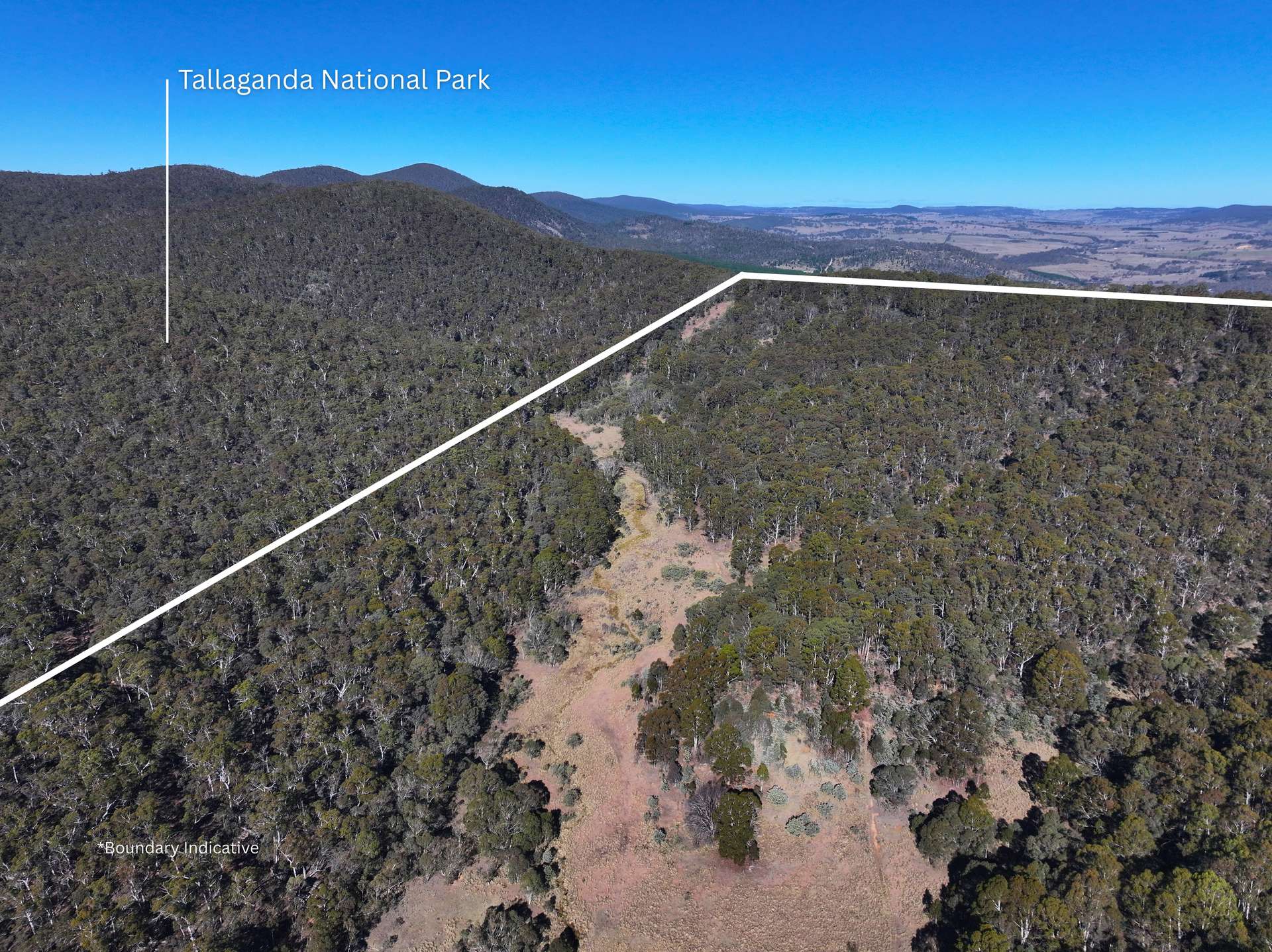 70 Wild Cattle Flat Road, Captains Flat For Sale by Farmbuy.com - image 24
