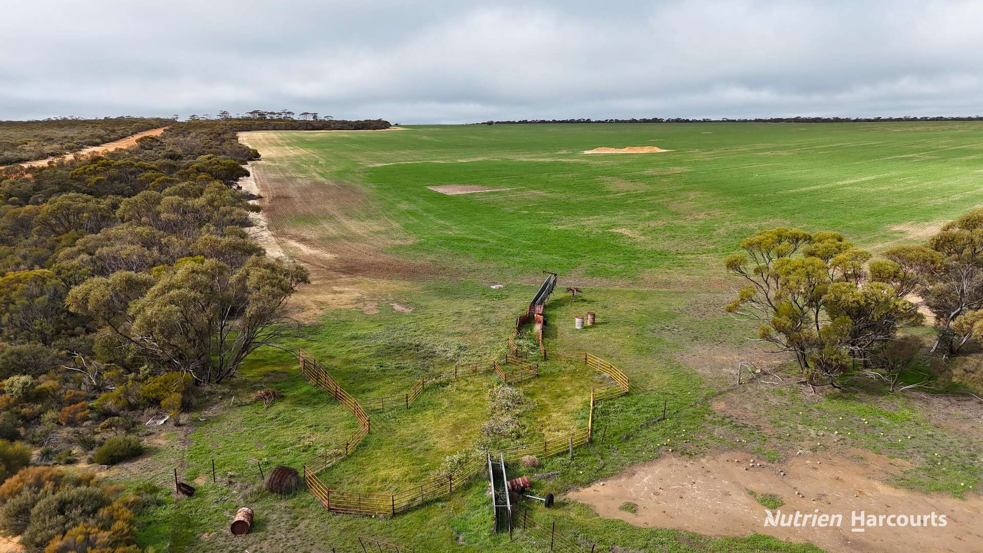 1650 Dulyalbin Road, South Bodallin For Sale by Farmbuy.com - image 4