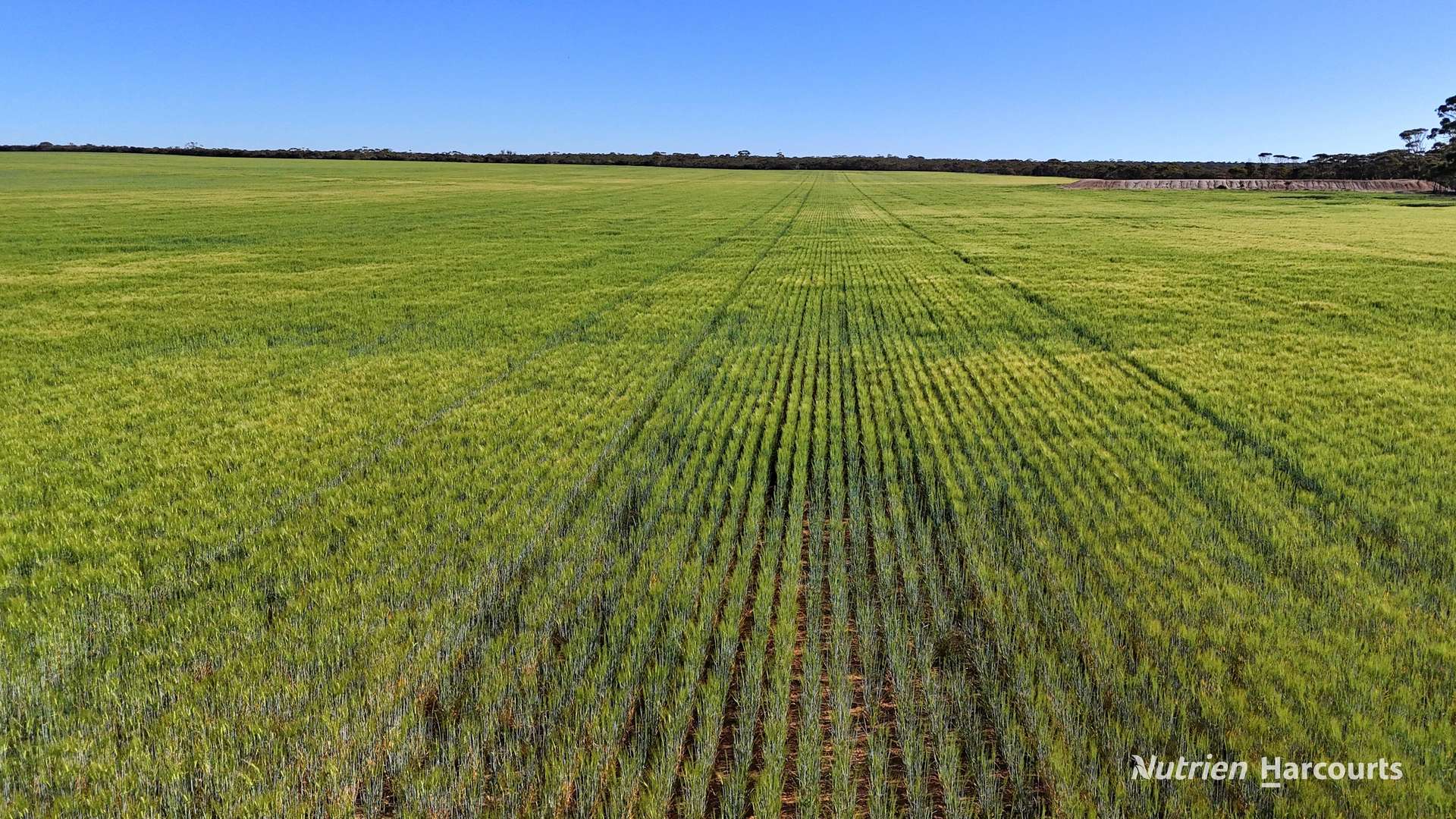 1650 Dulyalbin Road, South Bodallin For Sale by Farmbuy.com - image 3