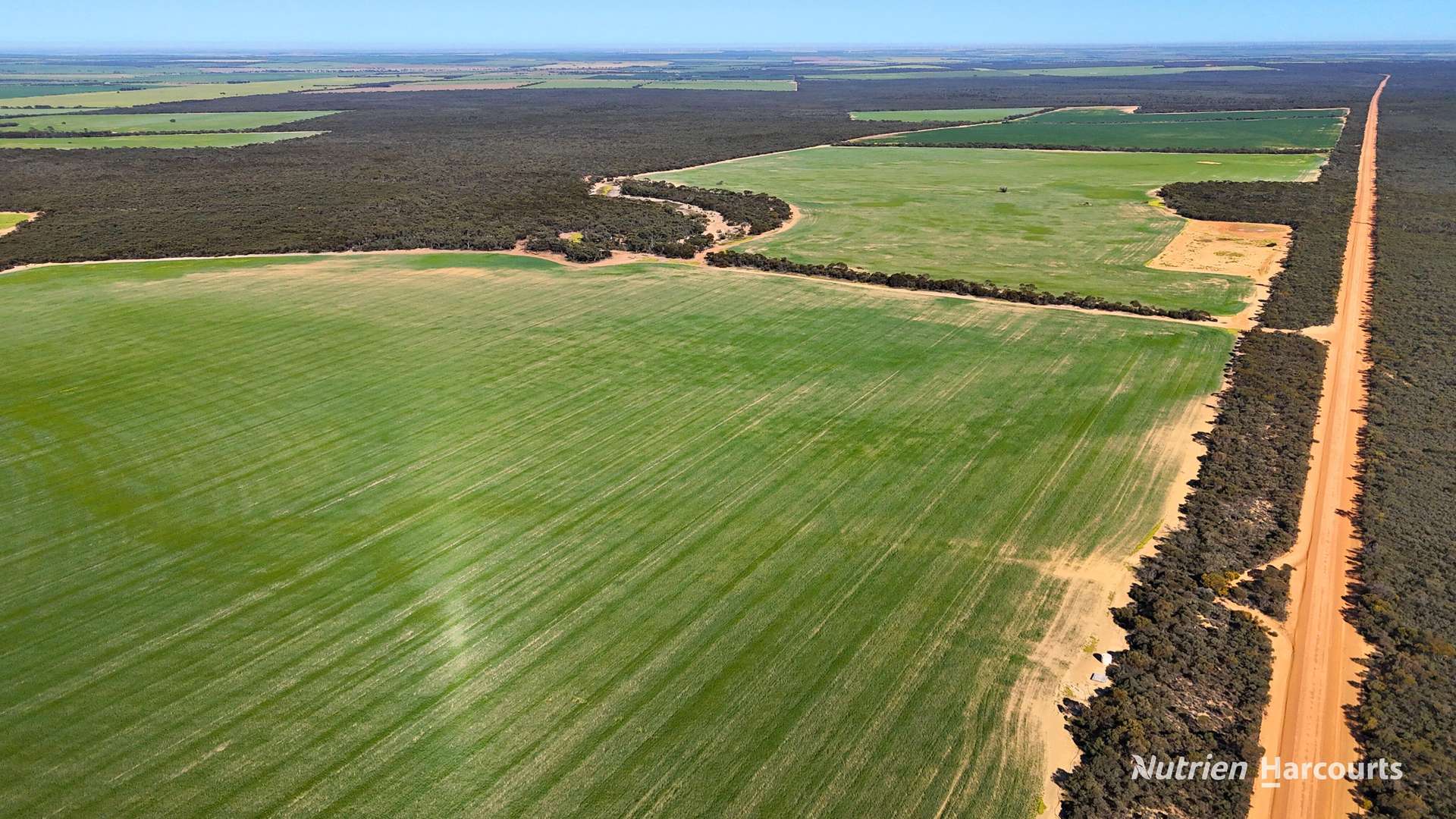 1650 Dulyalbin Road, South Bodallin For Sale by Farmbuy.com - image 12