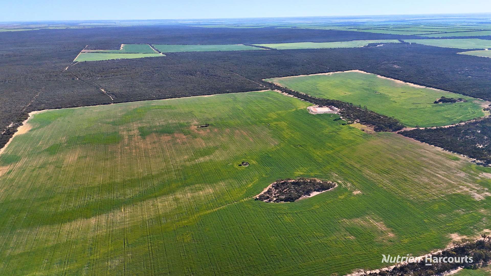 1650 Dulyalbin Road, South Bodallin For Sale by Farmbuy.com - image 11