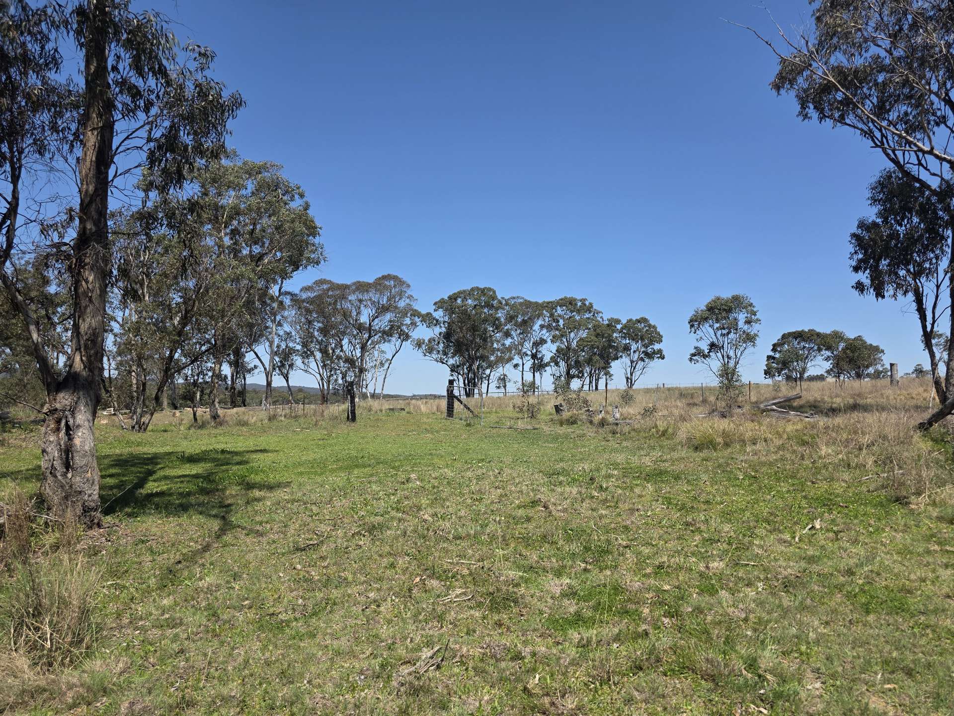 171 Stabiles Road, Severnlea Sold by Farmbuy.com - image 26