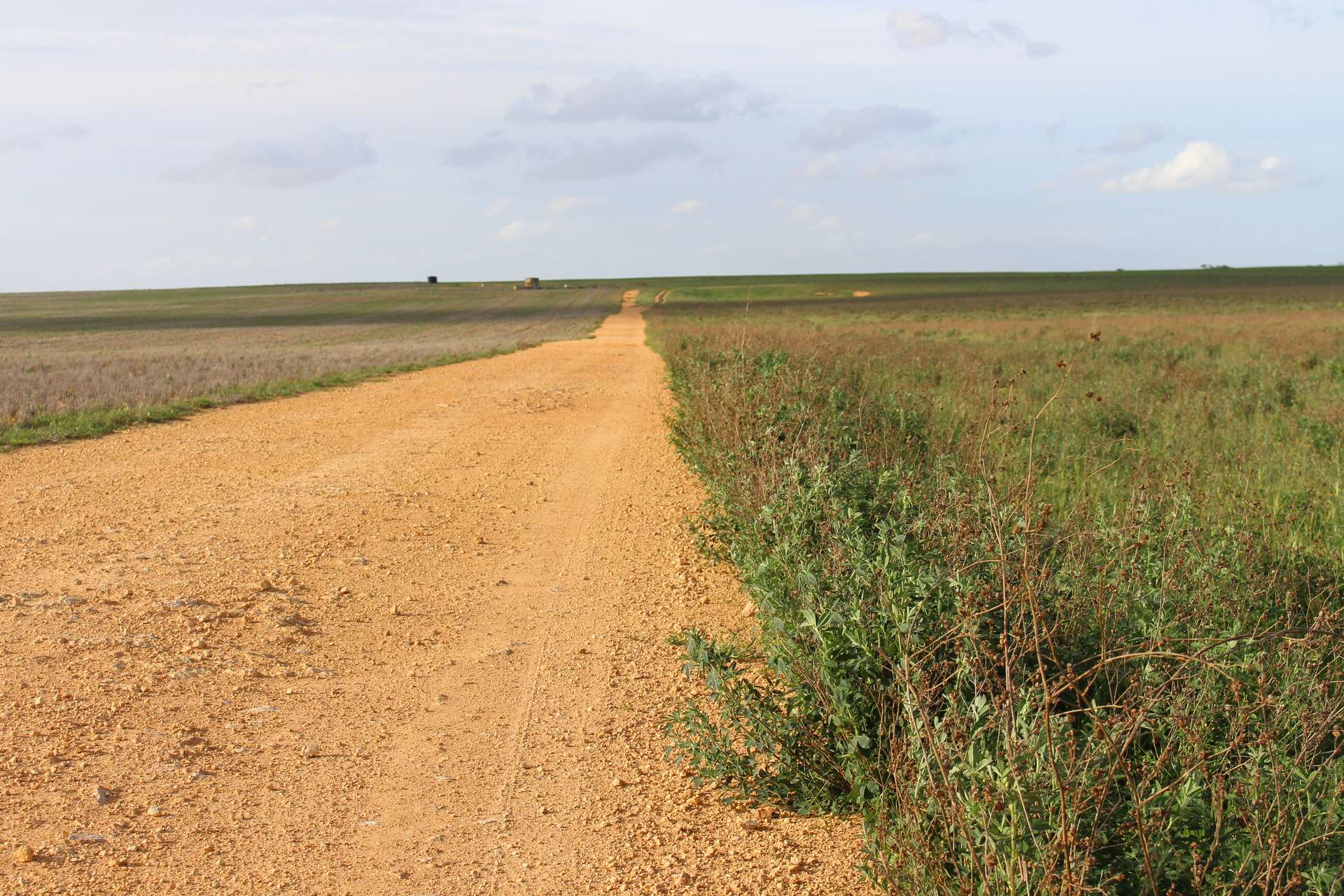 Allotment 92 Perponda Road, Karoonda For Sale by Farmbuy.com - image 9