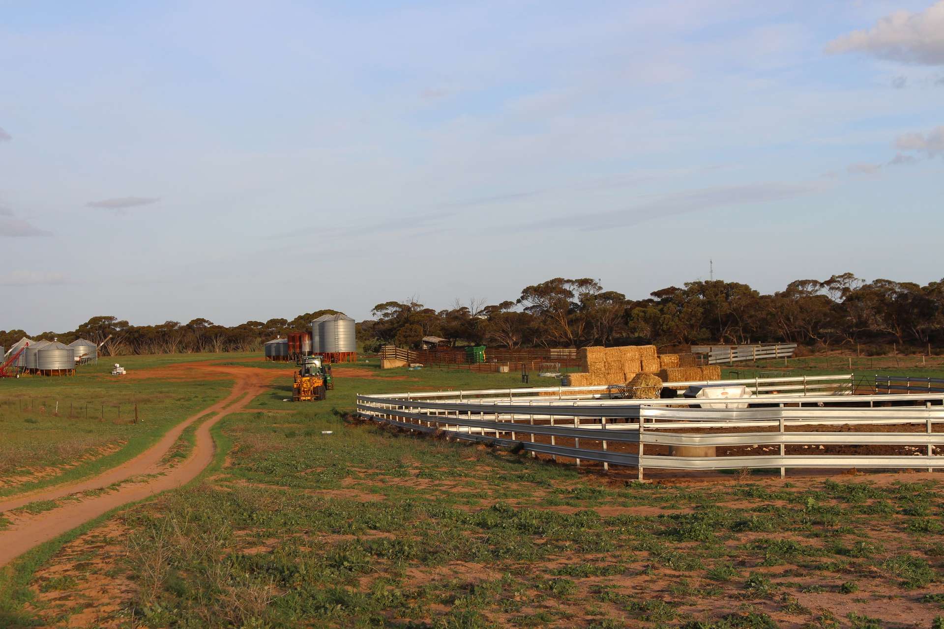 Allotment 92 Perponda Road, Karoonda For Sale by Farmbuy.com - image 15
