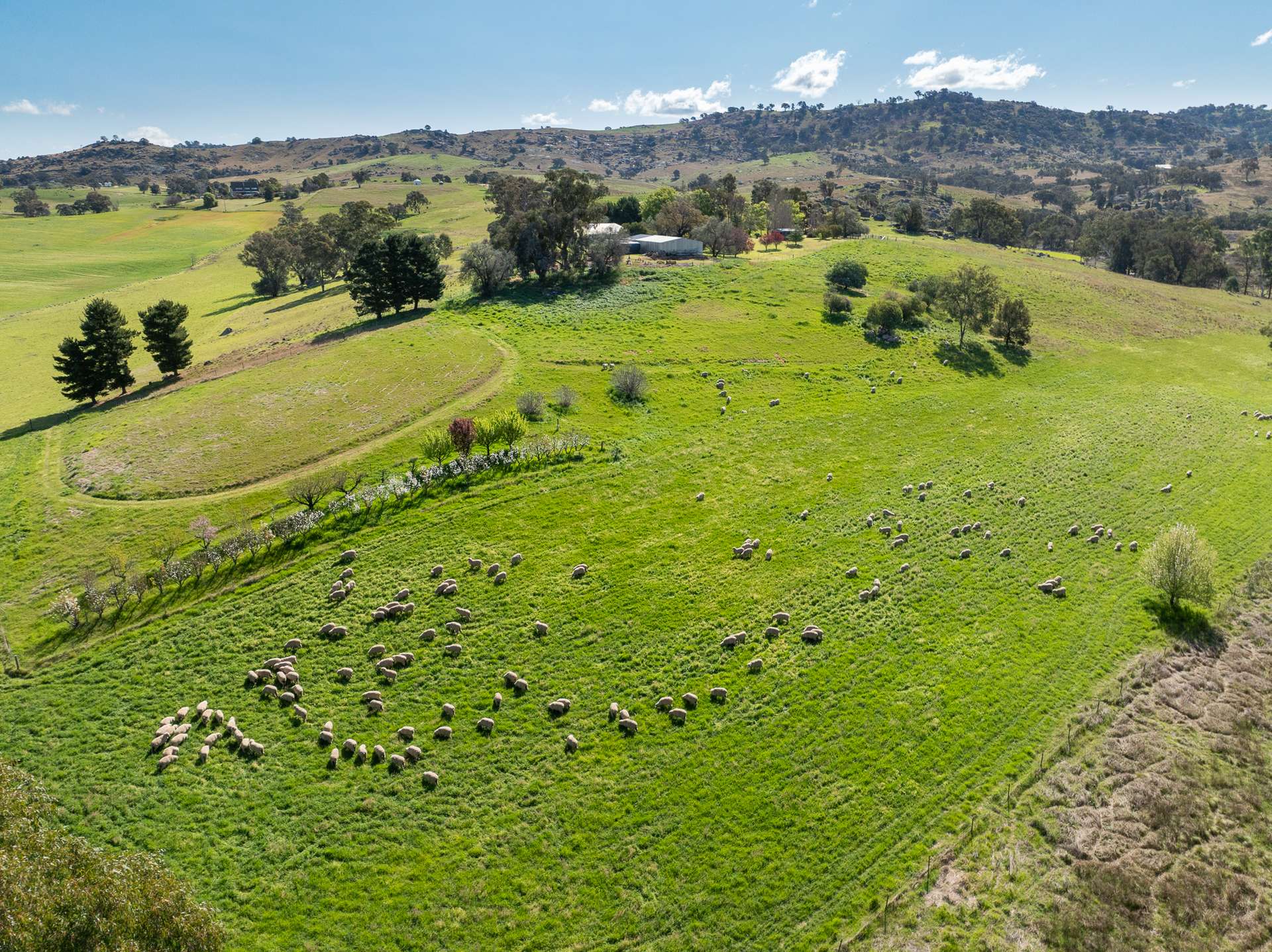 'Angle Burn' 101 Clearview Road, Darbys Falls For Sale by Farmbuy.com - image 15