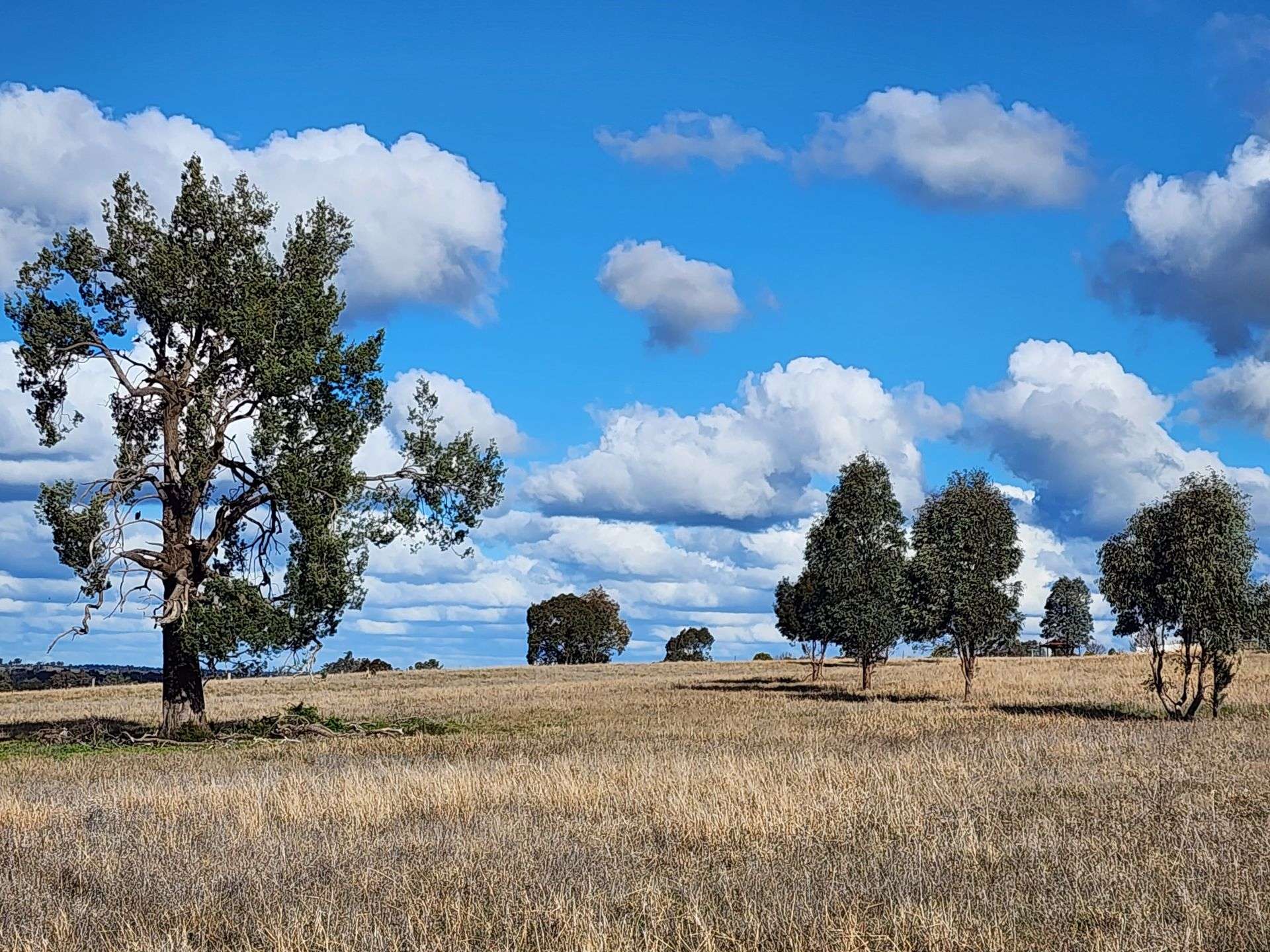 91 Aitken Lane, Parkes Sold by Farmbuy.com - image 7