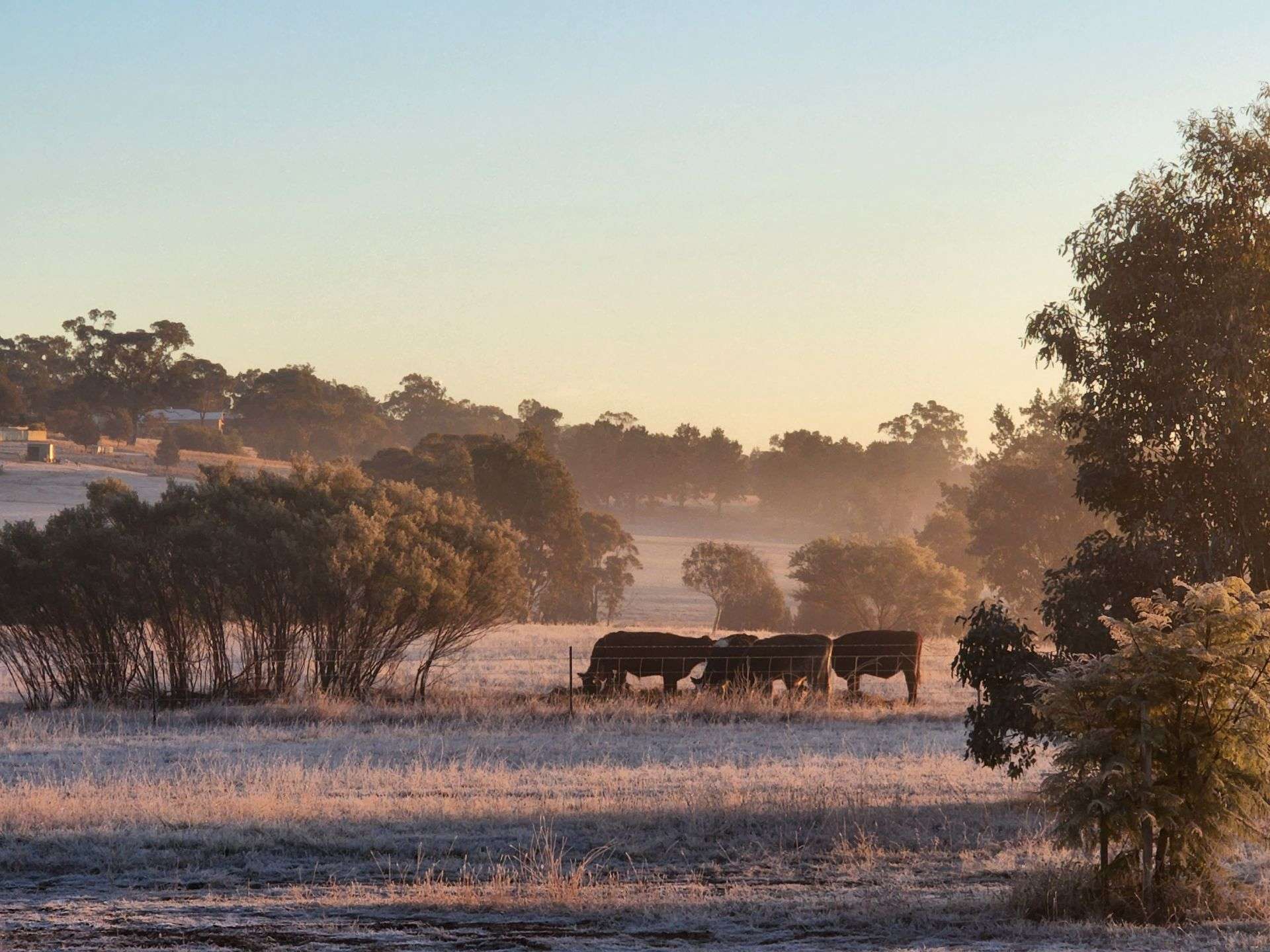 91 Aitken Lane, Parkes Sold by Farmbuy.com - image 9