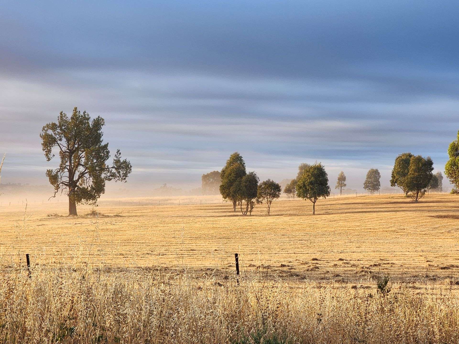 91 Aitken Lane, Parkes Sold by Farmbuy.com - image 22
