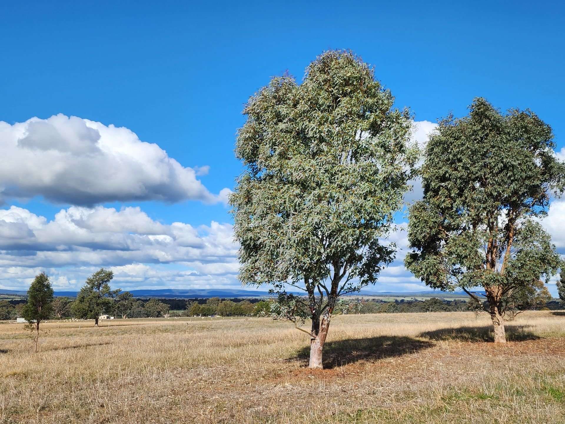 91 Aitken Lane, Parkes Sold by Farmbuy.com - image 11
