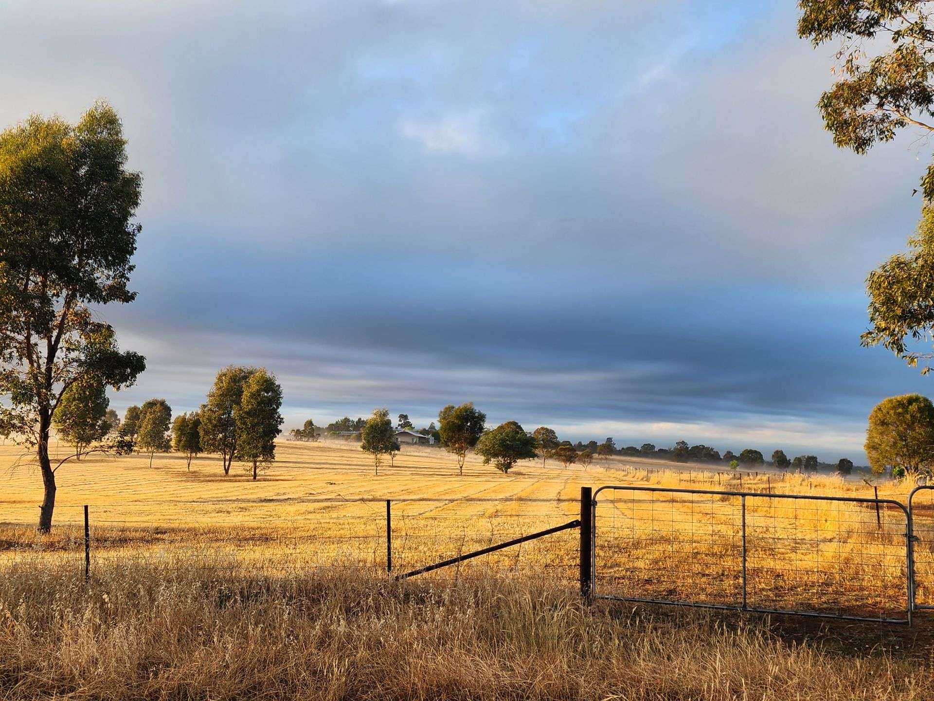 91 Aitken Lane, Parkes Sold by Farmbuy.com - image 20