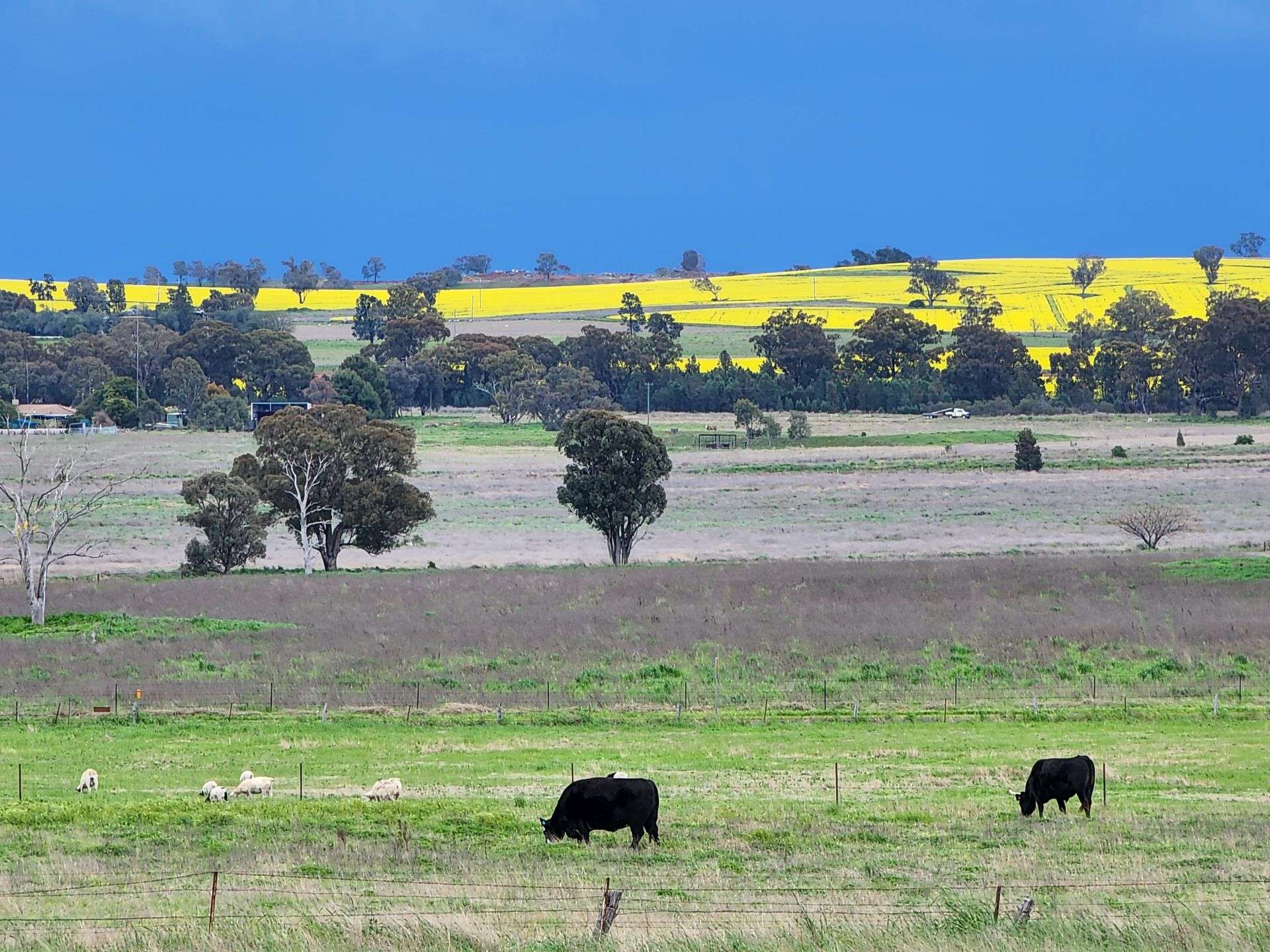 91 Aitken Lane, Parkes Sold by Farmbuy.com - image 4