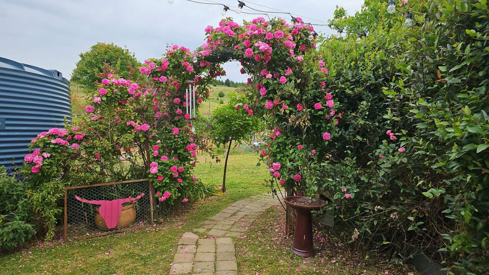 221 Adjungbilly Village Road, Adjungbilly For Sale by Farmbuy.com - image 16