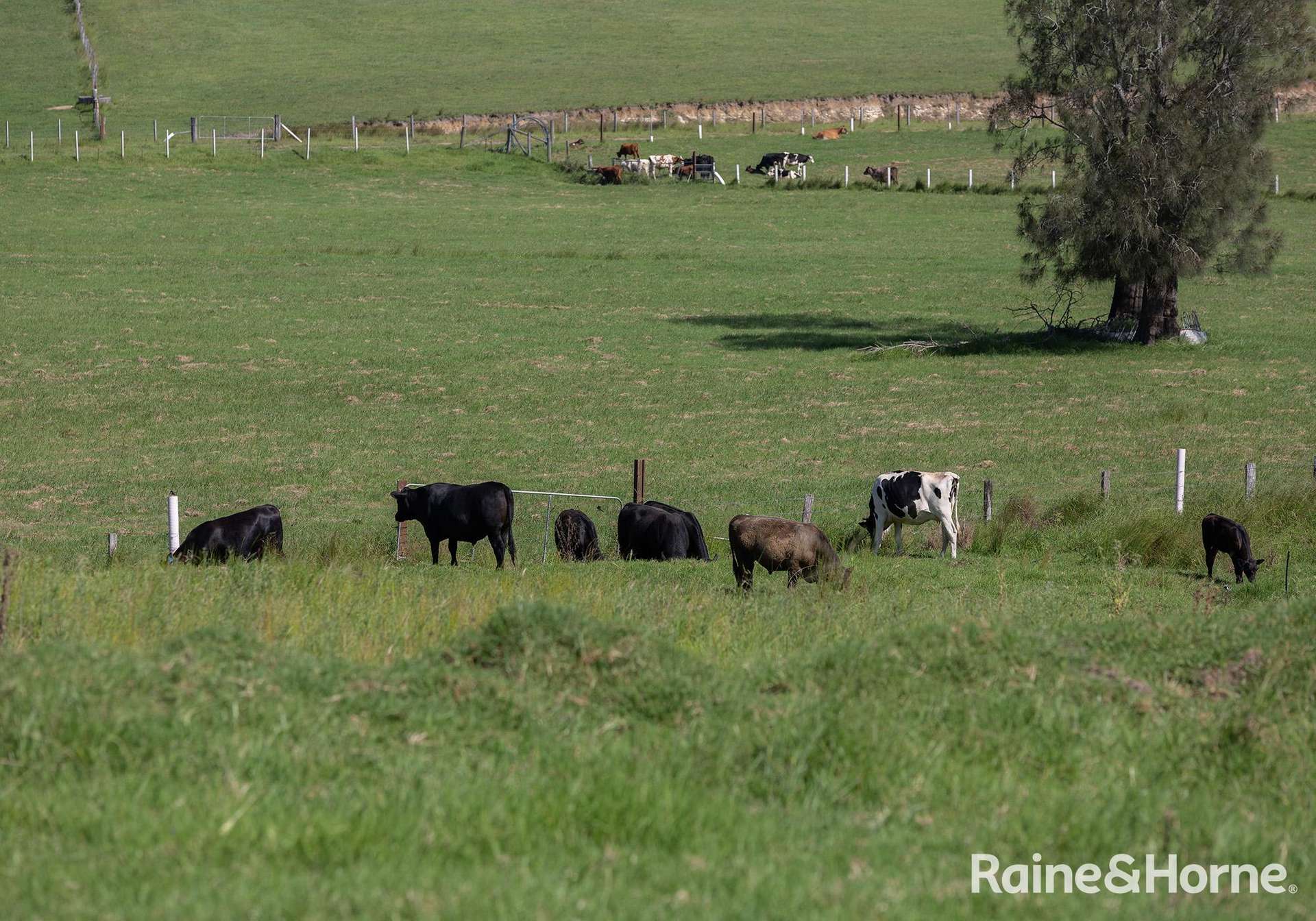 439 Coolangatta Road, Far Meadow For Sale by Farmbuy.com - image 27