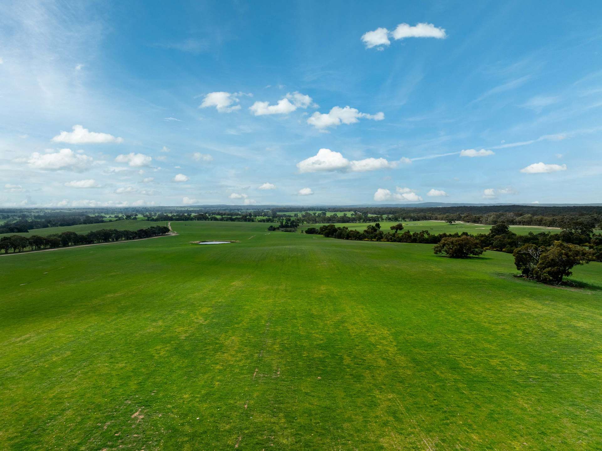 4040 Sunraysia Highway, Lexton For Sale by Farmbuy.com - image 5