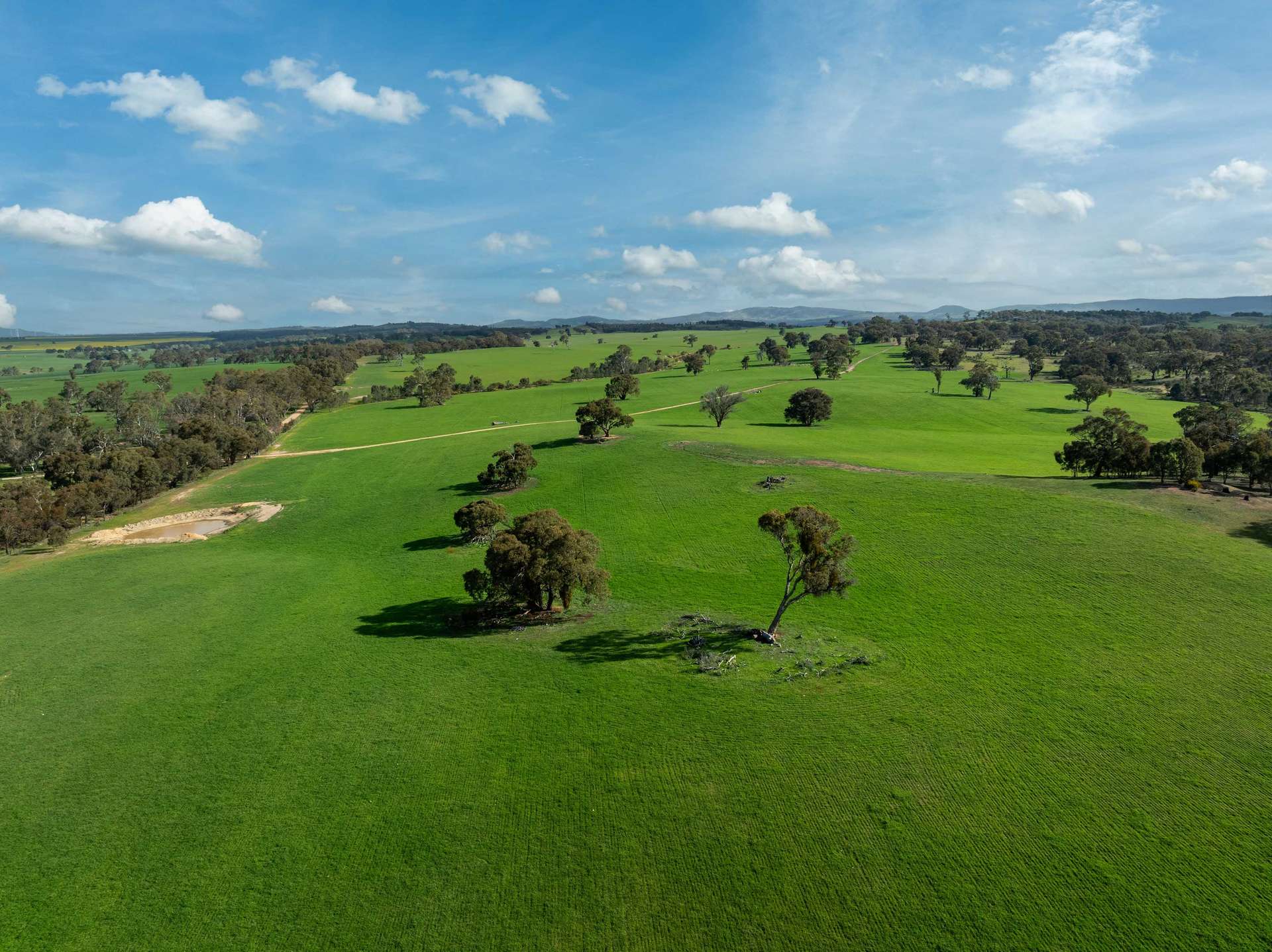 4040 Sunraysia Highway, Lexton For Sale by Farmbuy.com - image 4
