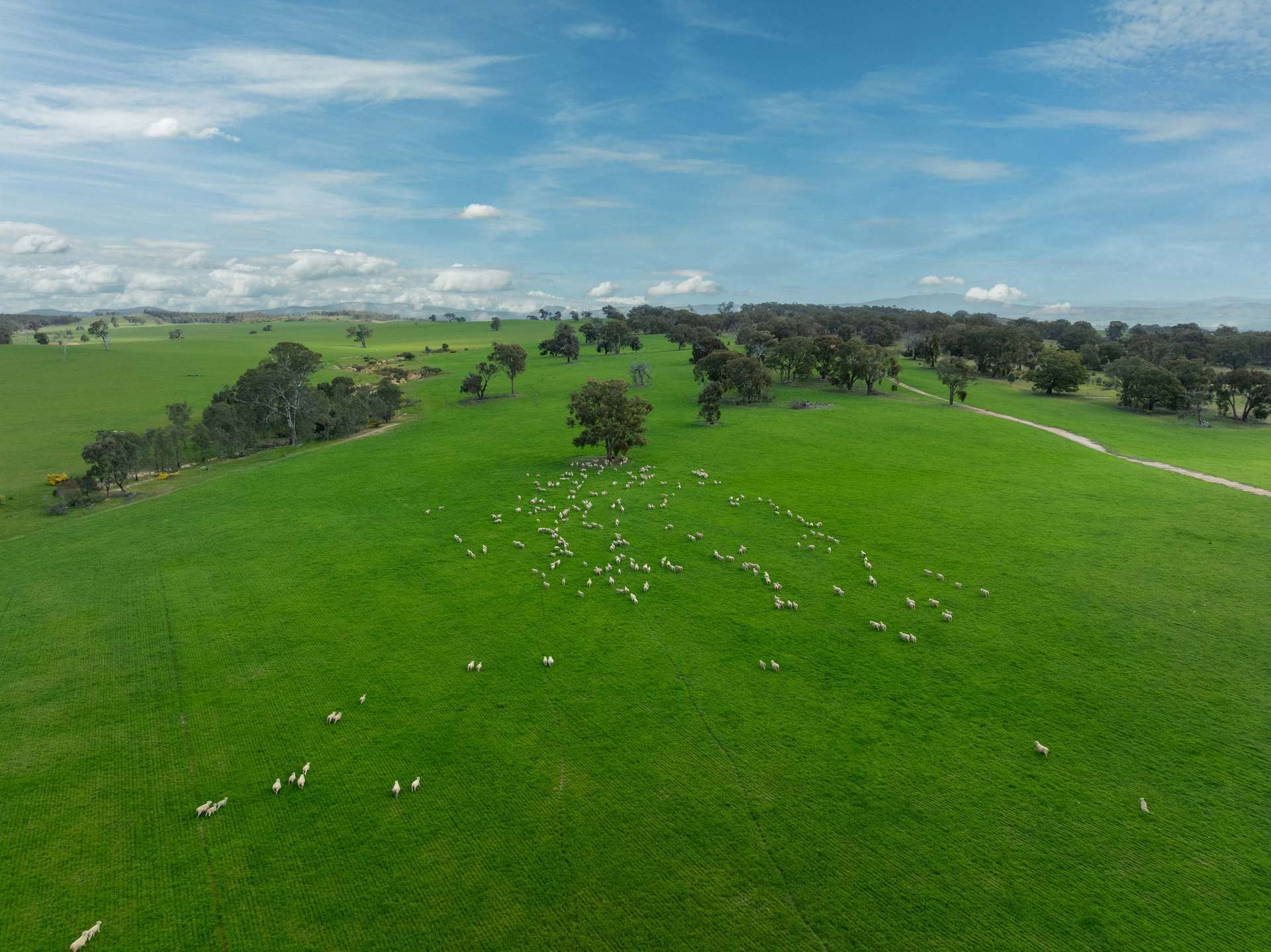 4040 Sunraysia Highway, Lexton For Sale by Farmbuy.com - image 2