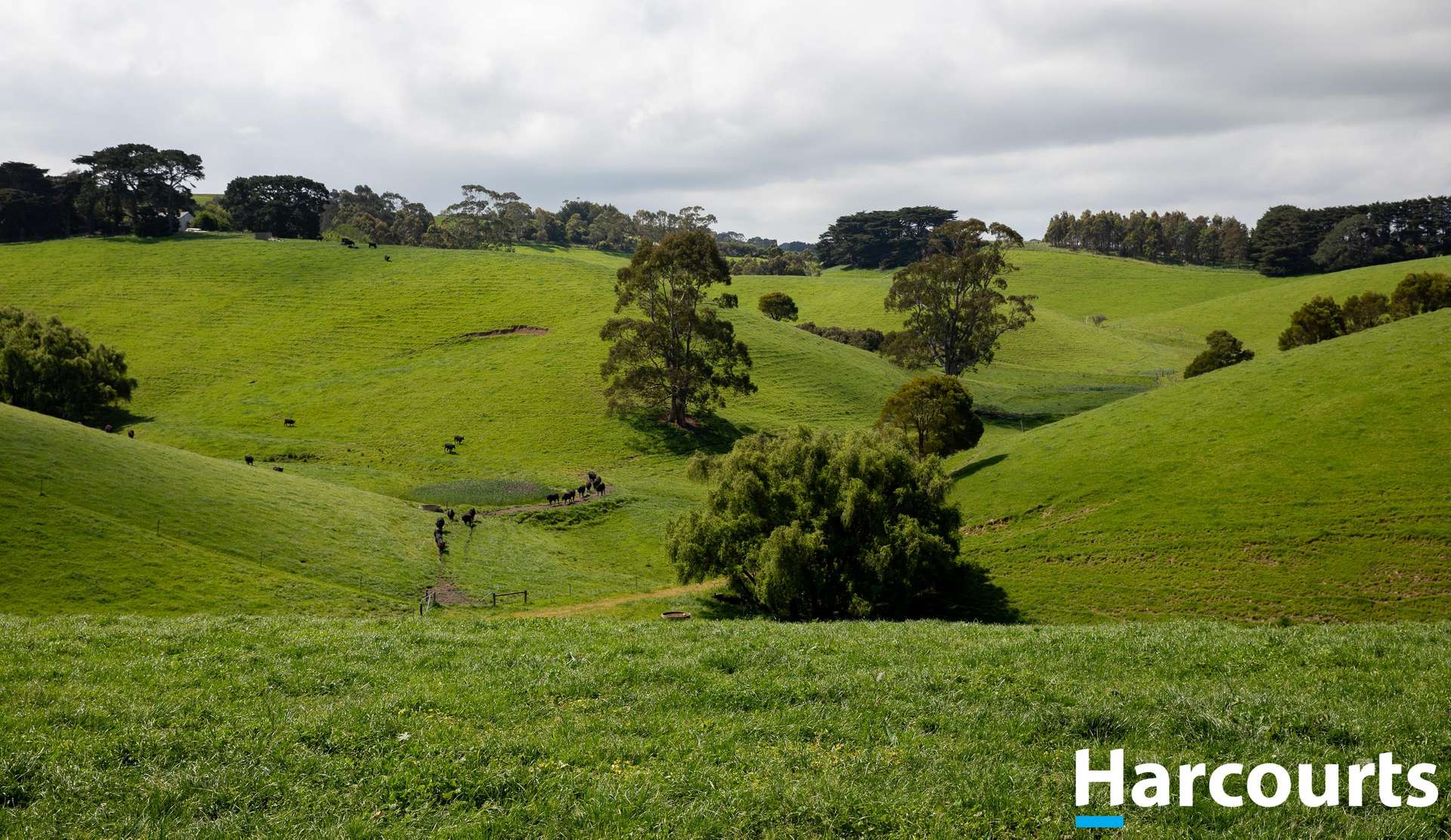 715 Falls Road, Fish Creek For Sale by Farmbuy.com - image 14