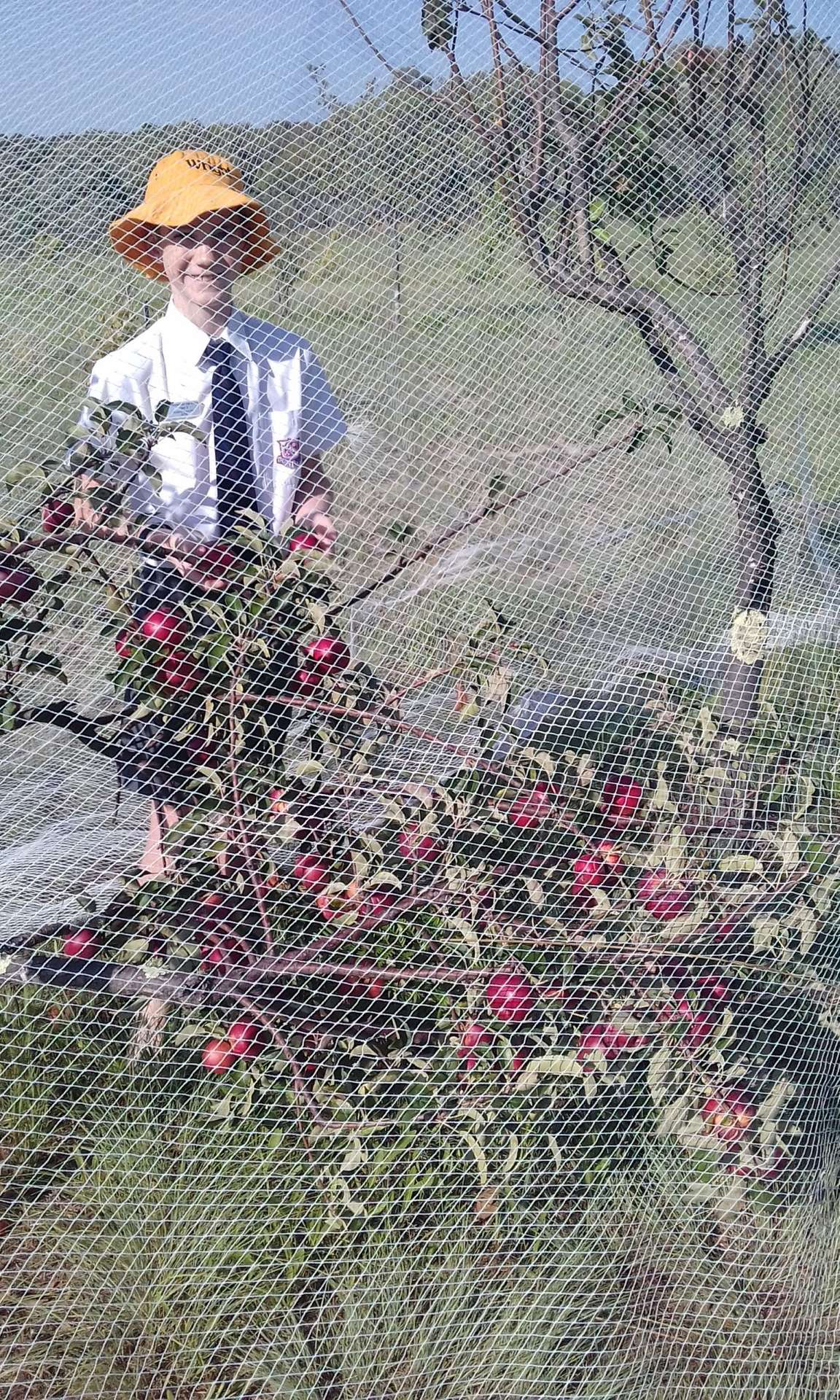 269 Jimmy Mann Road, Broadwater Sold by Farmbuy.com - image 24