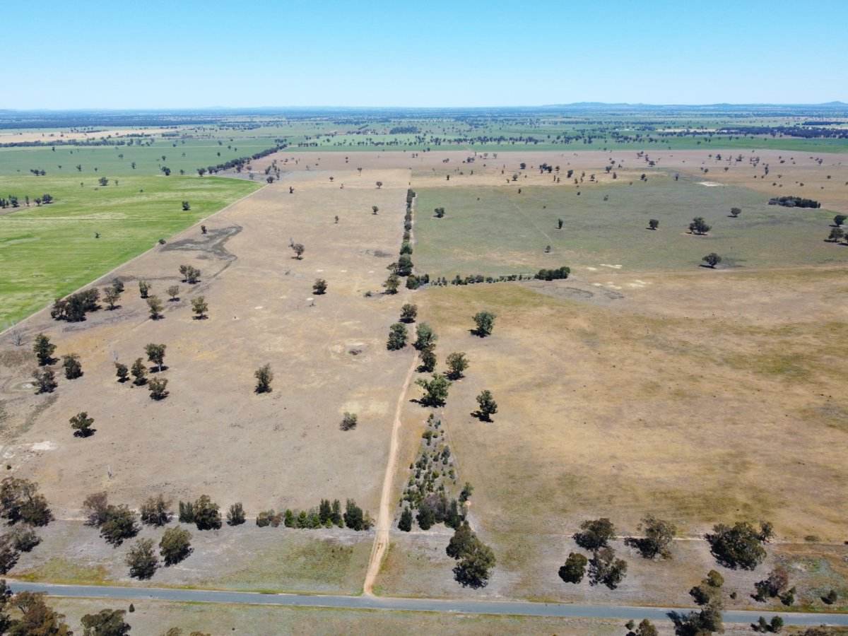 1539 Bland Road, Quandialla For Sale by Farmbuy.com - image 4