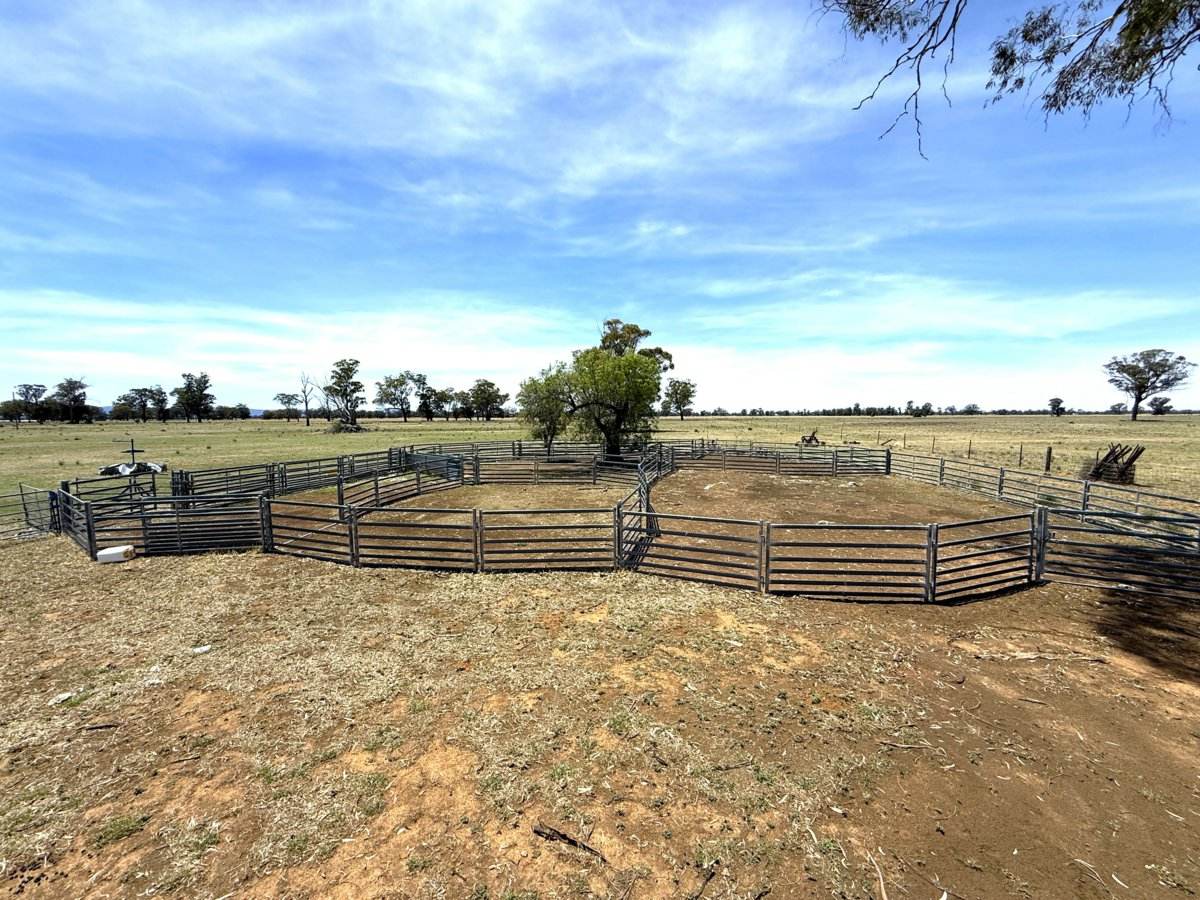 1539 Bland Road, Quandialla For Sale by Farmbuy.com - image 16