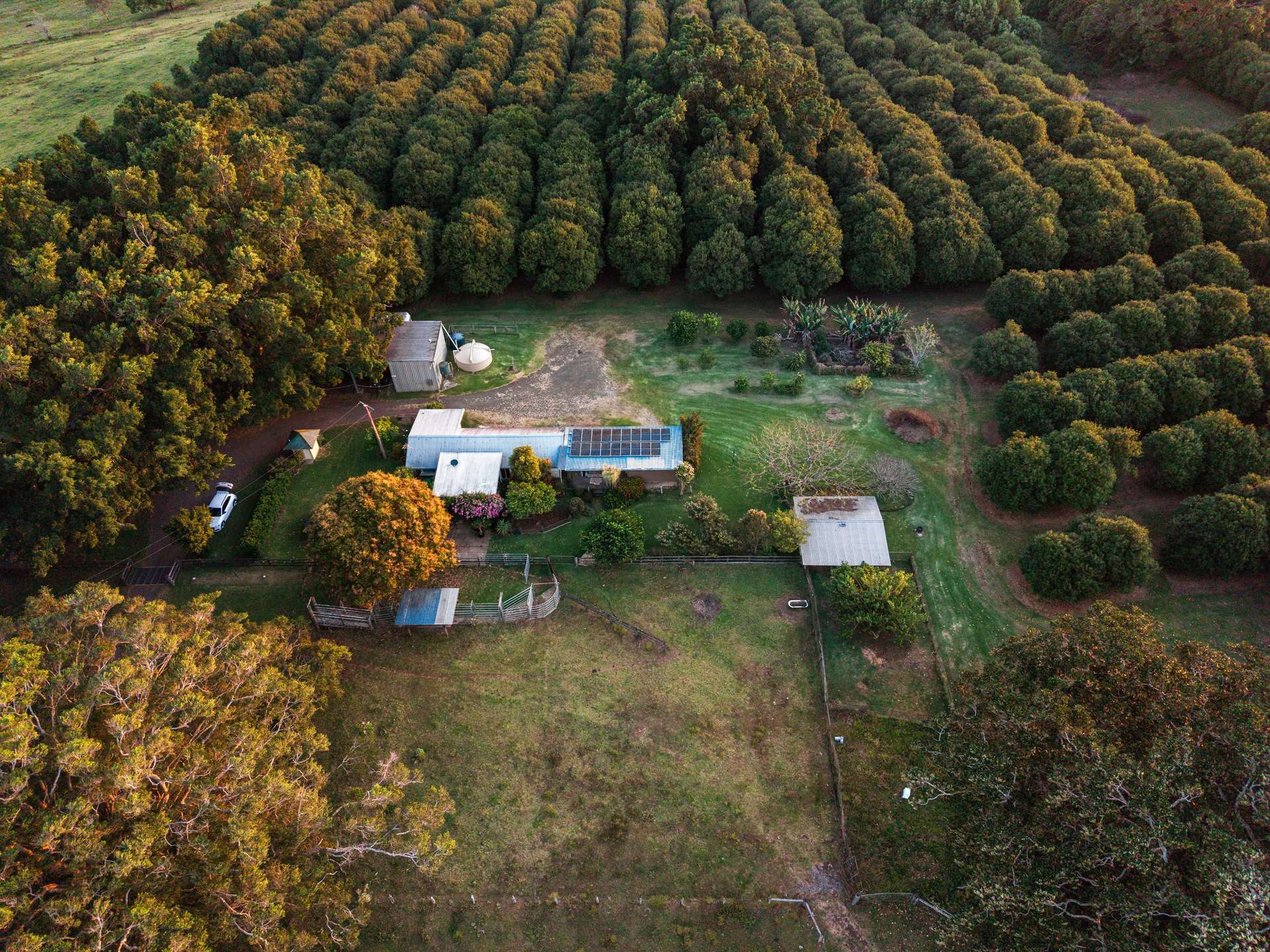 241 Alcorn Road, Knockrow For Sale by Farmbuy.com - image 4