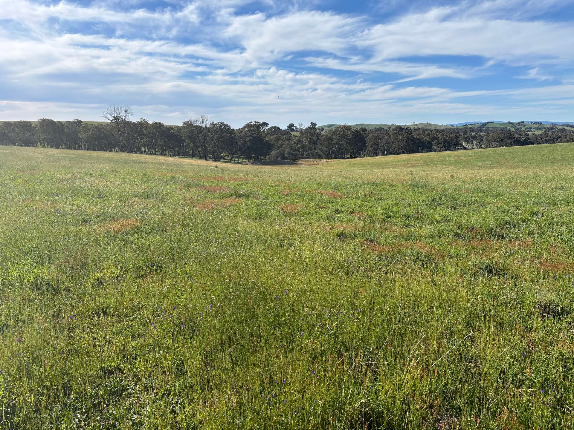 1050 Garland Road, Garland For Sale by Farmbuy.com - image 25