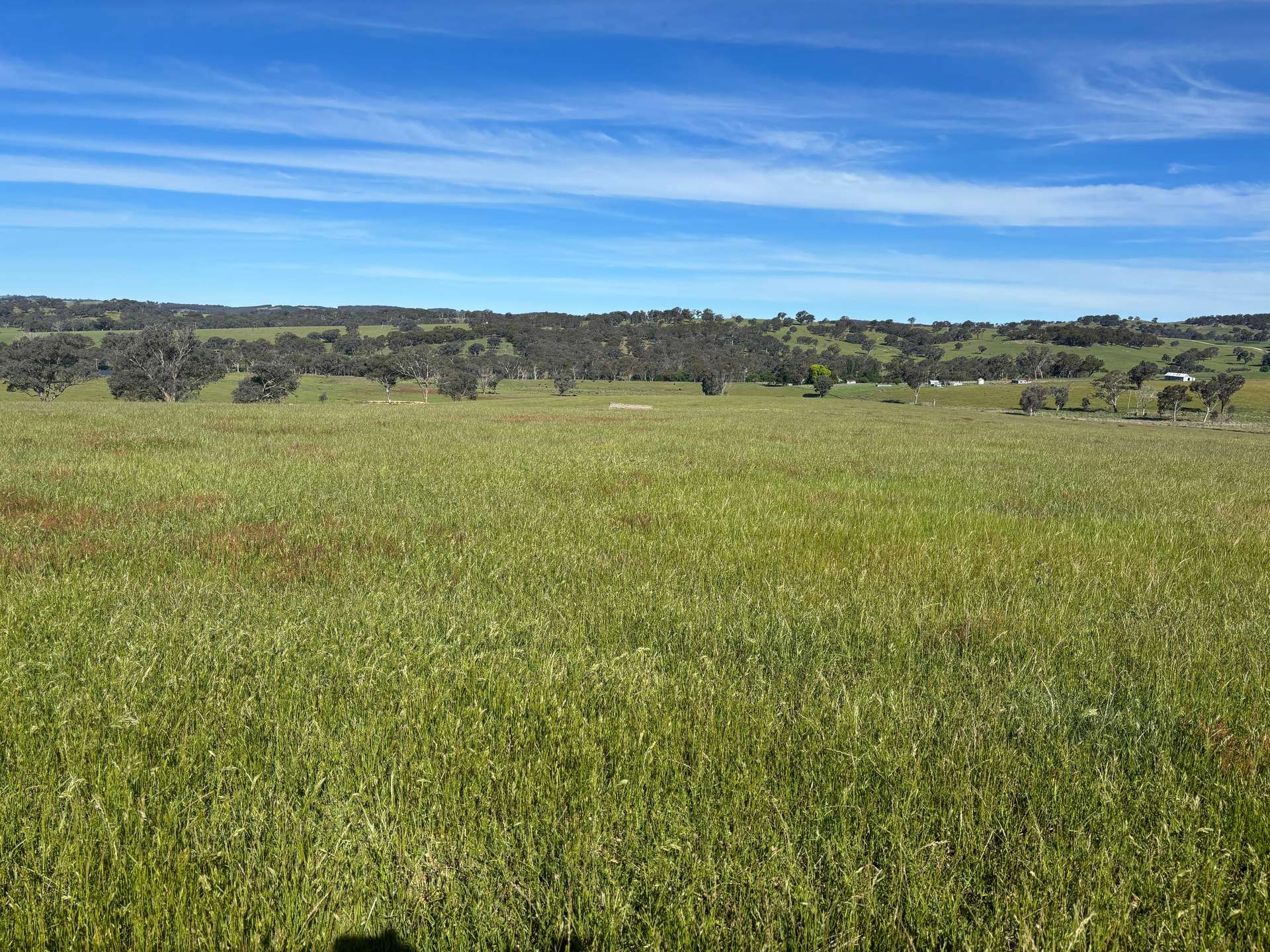 1050 Garland Road, Garland For Sale by Farmbuy.com - image 19