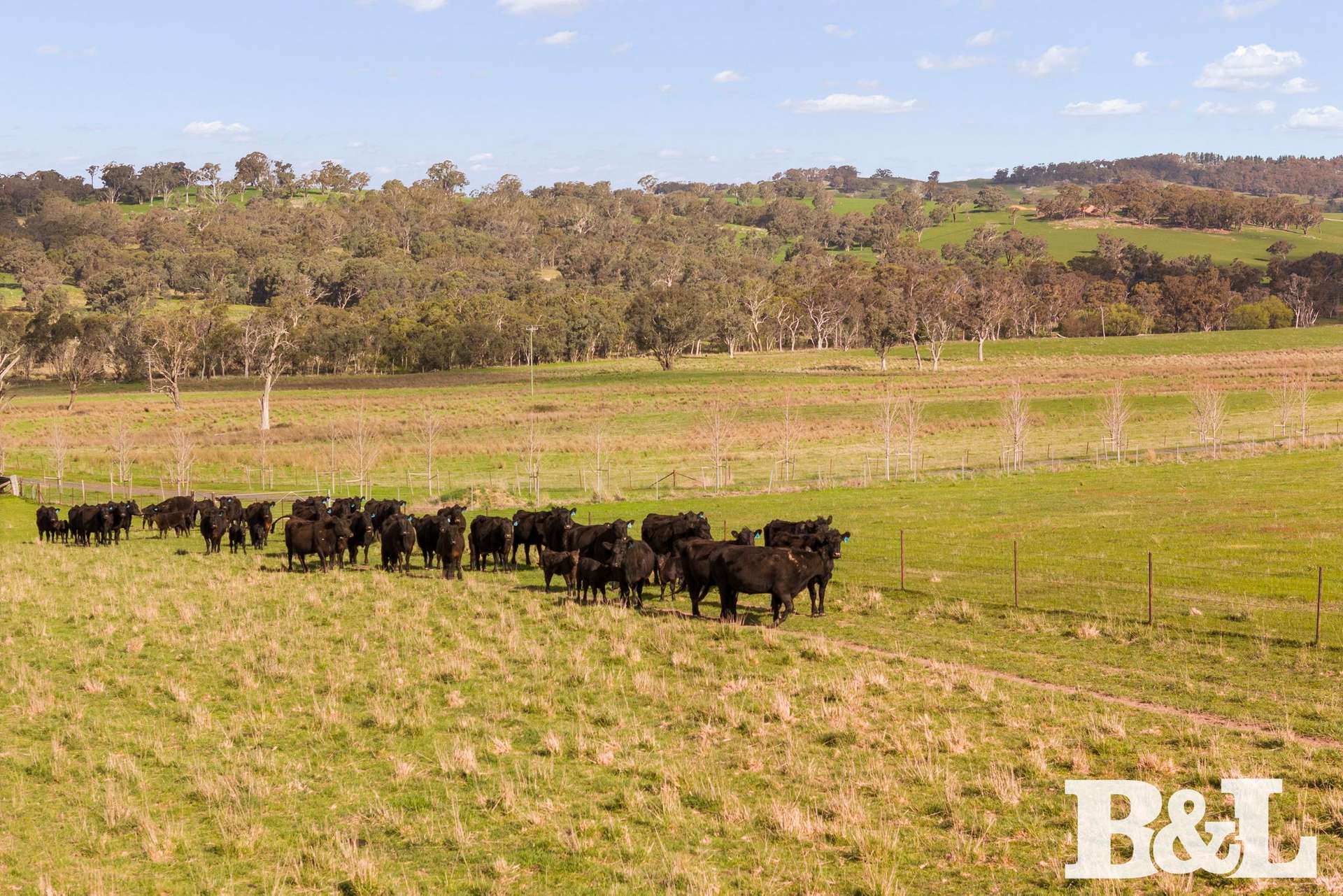 1050 Garland Road, Garland For Sale by Farmbuy.com - image 28