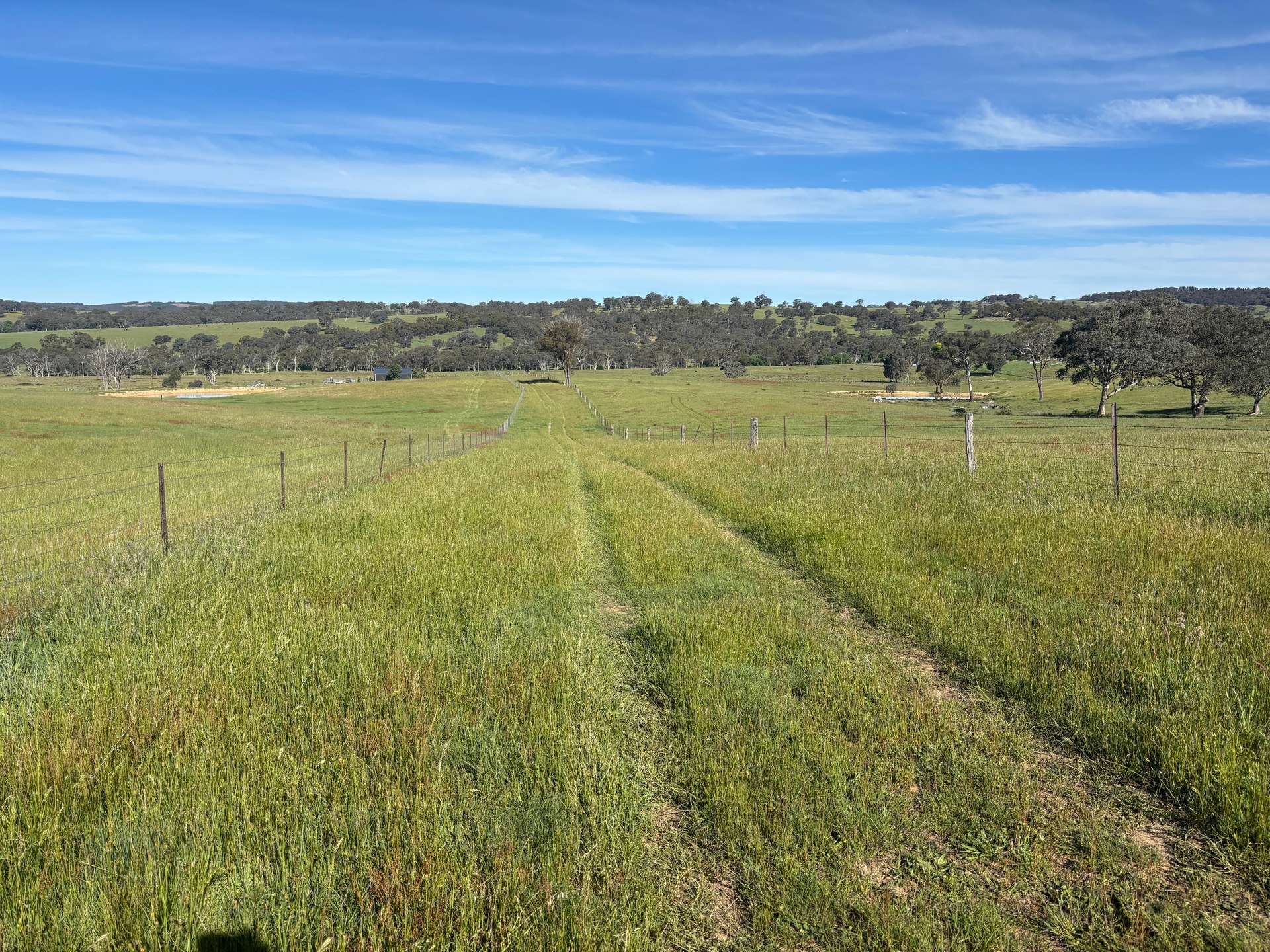 1050 Garland Road, Garland For Sale by Farmbuy.com - image 6