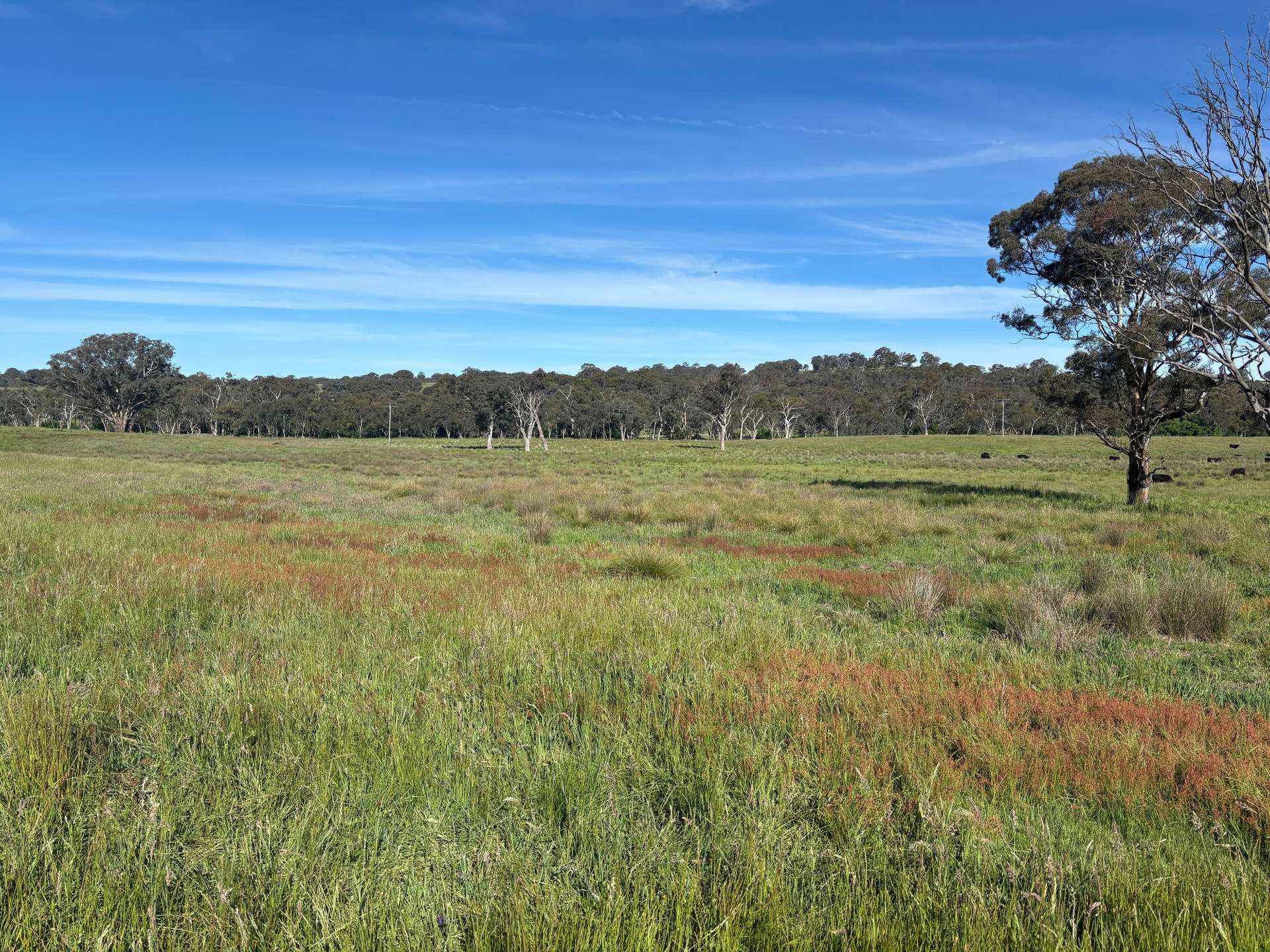 1050 Garland Road, Garland For Sale by Farmbuy.com - image 22