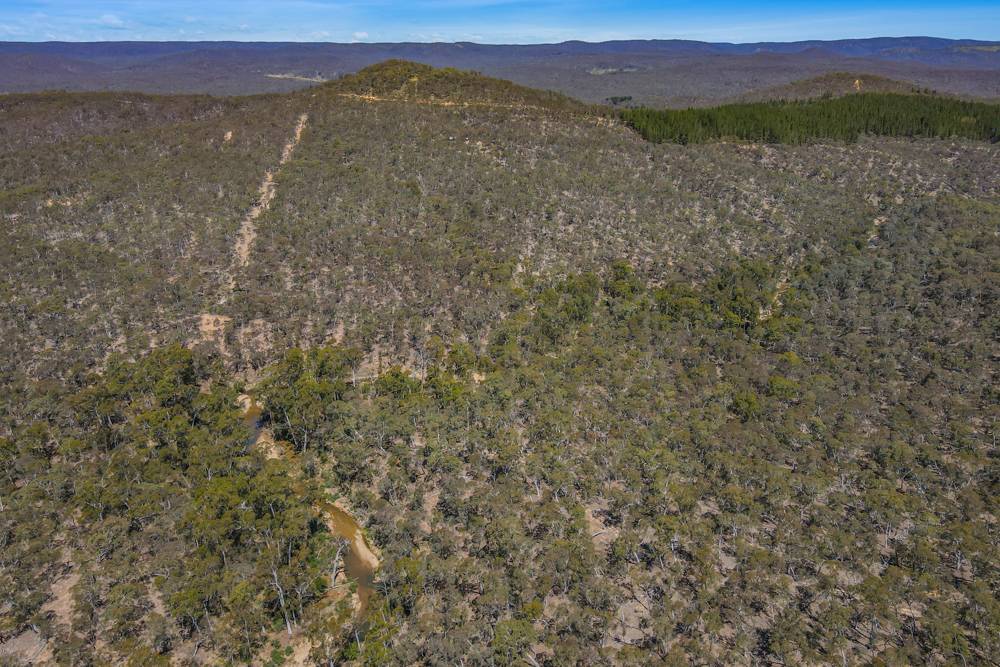 184 The Glen Road, Jerrong Sold by Farmbuy.com - image 9