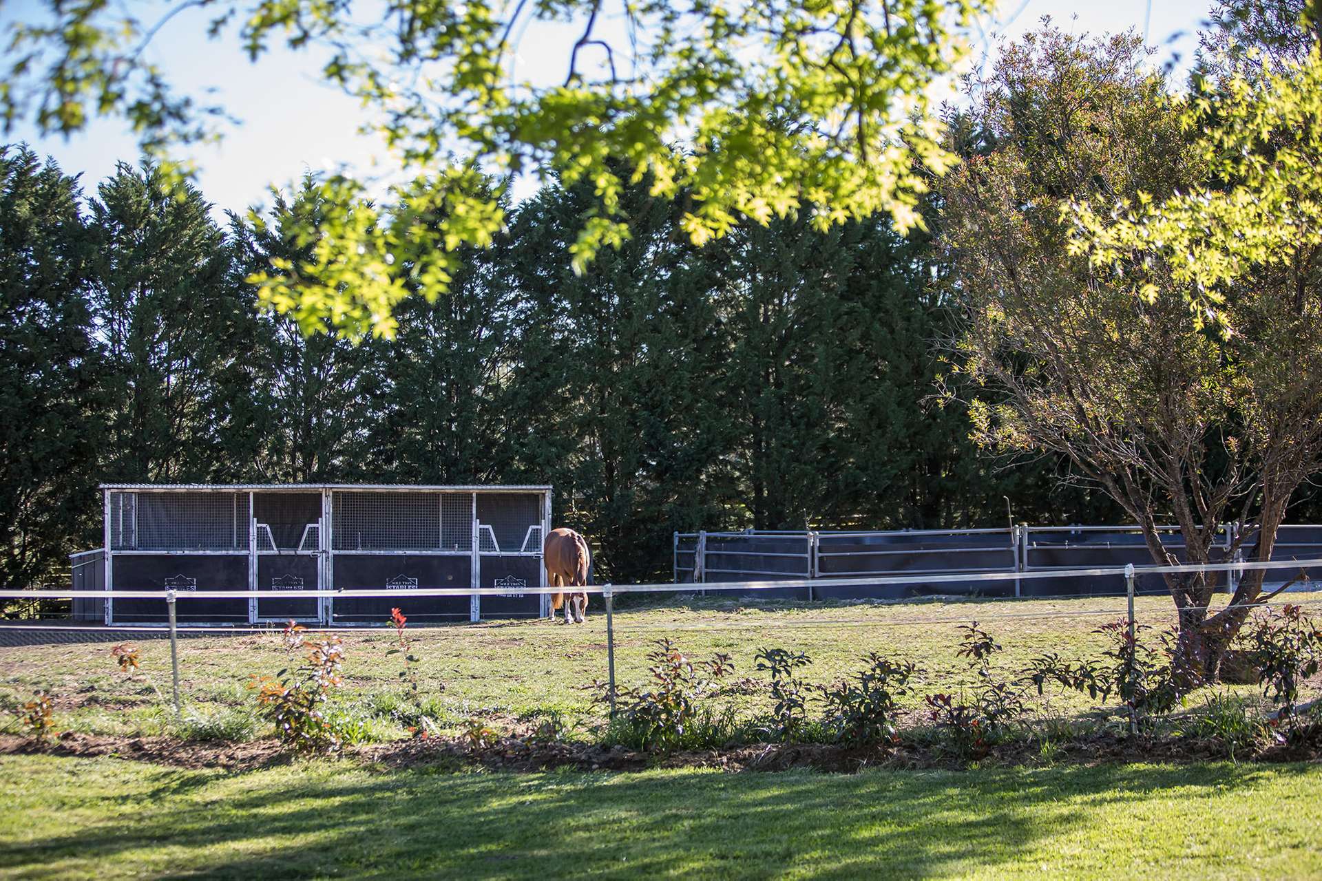 865 Joadja Road, Joadja For Sale by Farmbuy.com - image 16