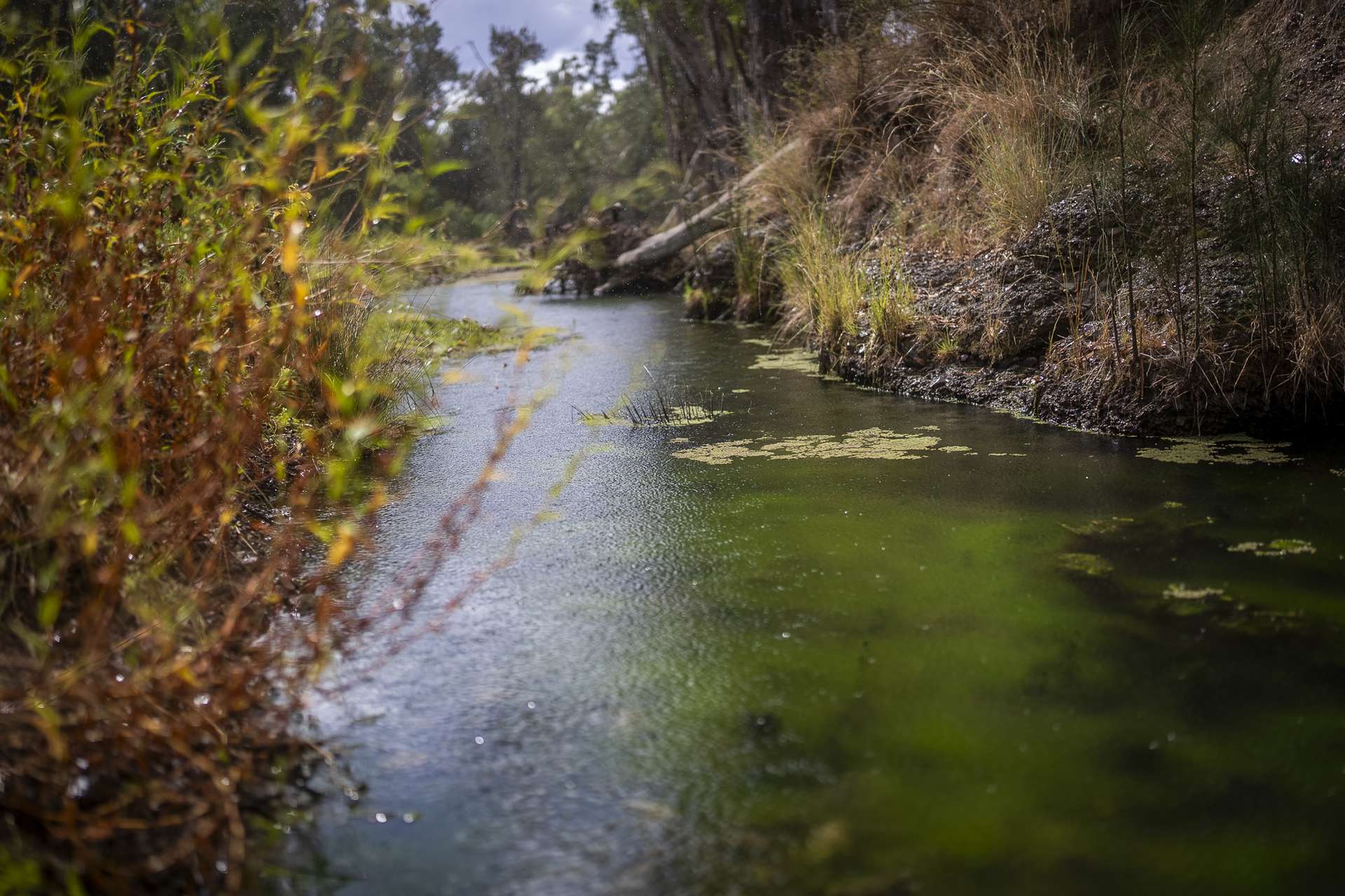 3297 Stanthorpe-Inglewood Road, Inglewood Auction by Farmbuy.com - image 9