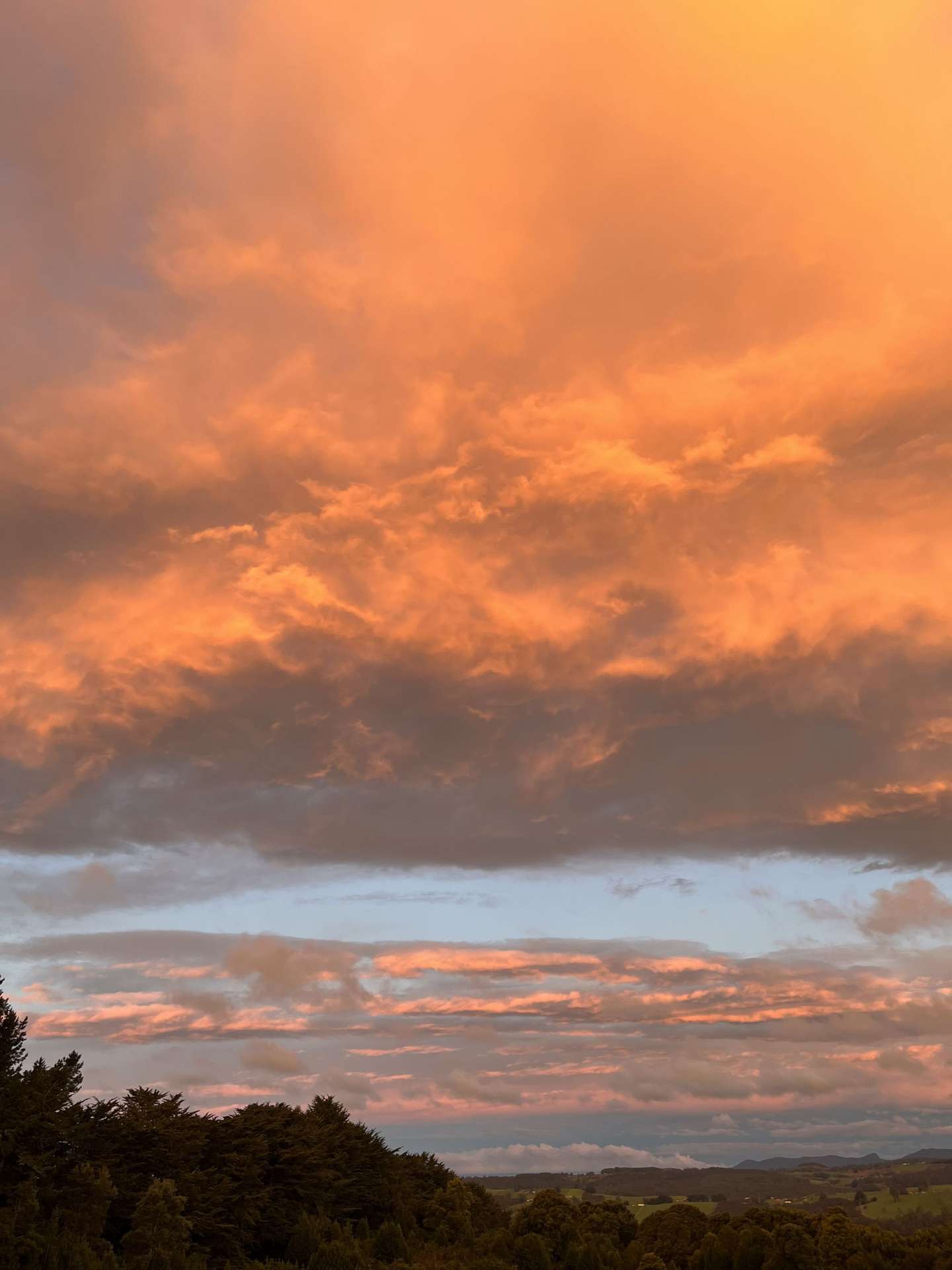 17 Sweetmans Road, Yolla For Sale by Farmbuy.com - image 8