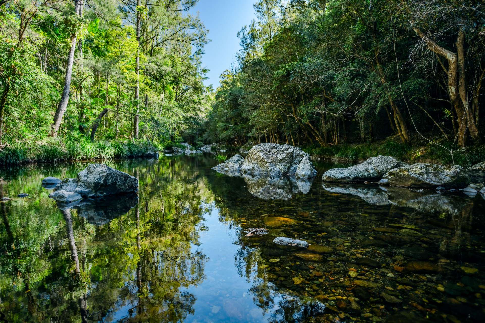 816 Summervilles Road, Bellingen For Sale by Farmbuy.com - image 34