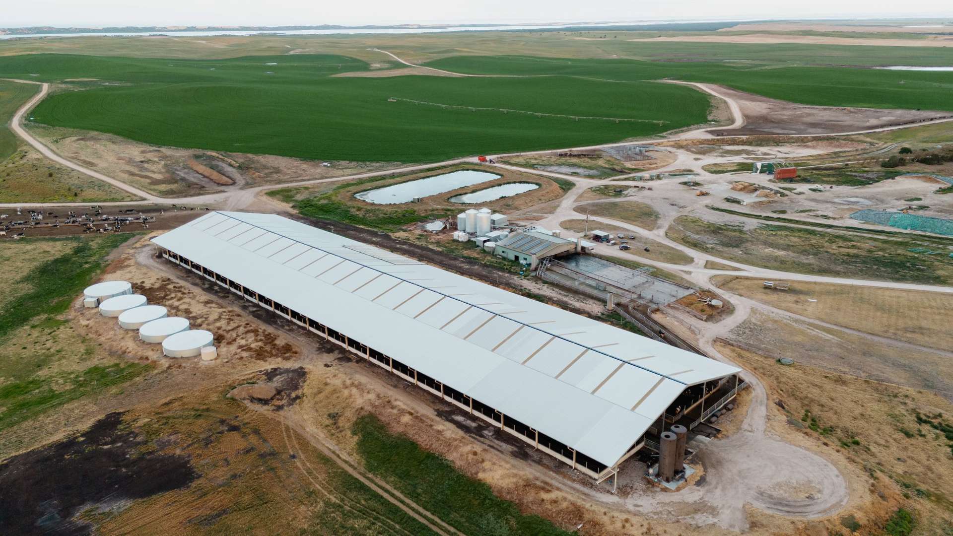 Meningie For Sale by Farmbuy.com - image 5