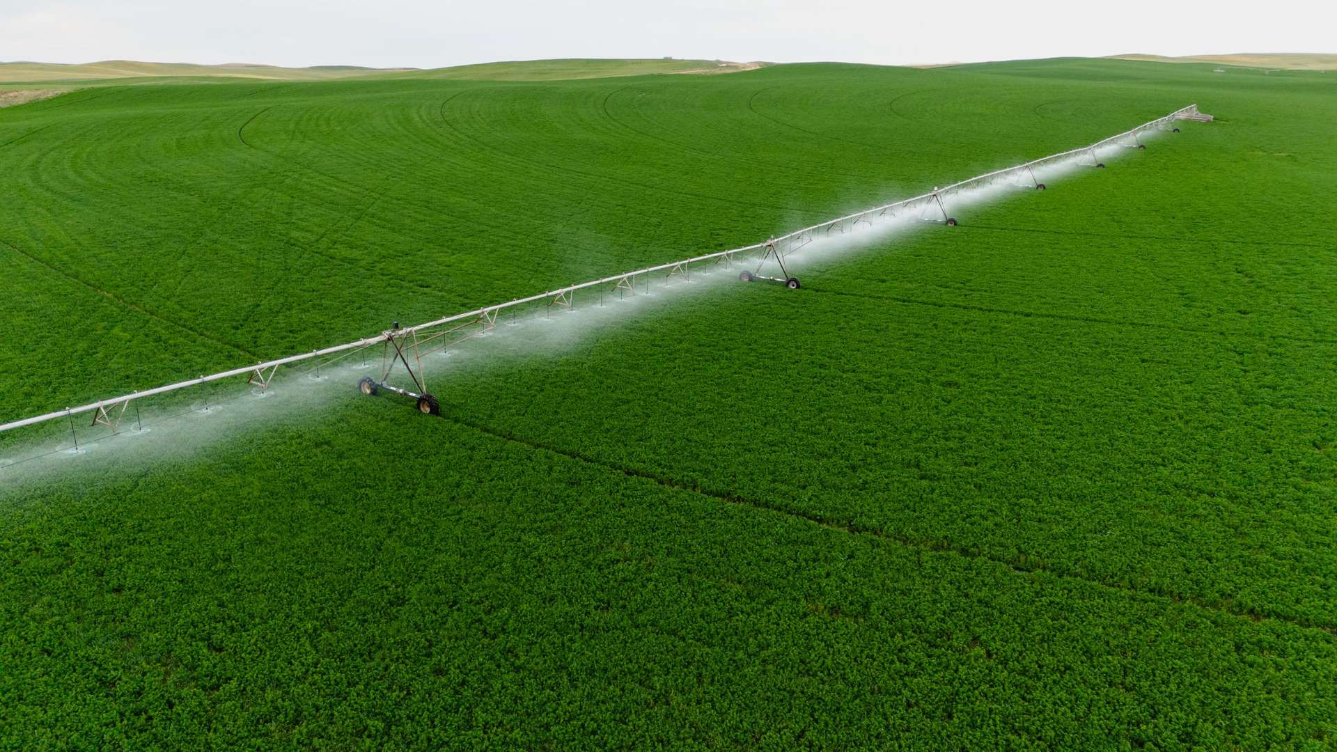 Meningie For Sale by Farmbuy.com - image 7