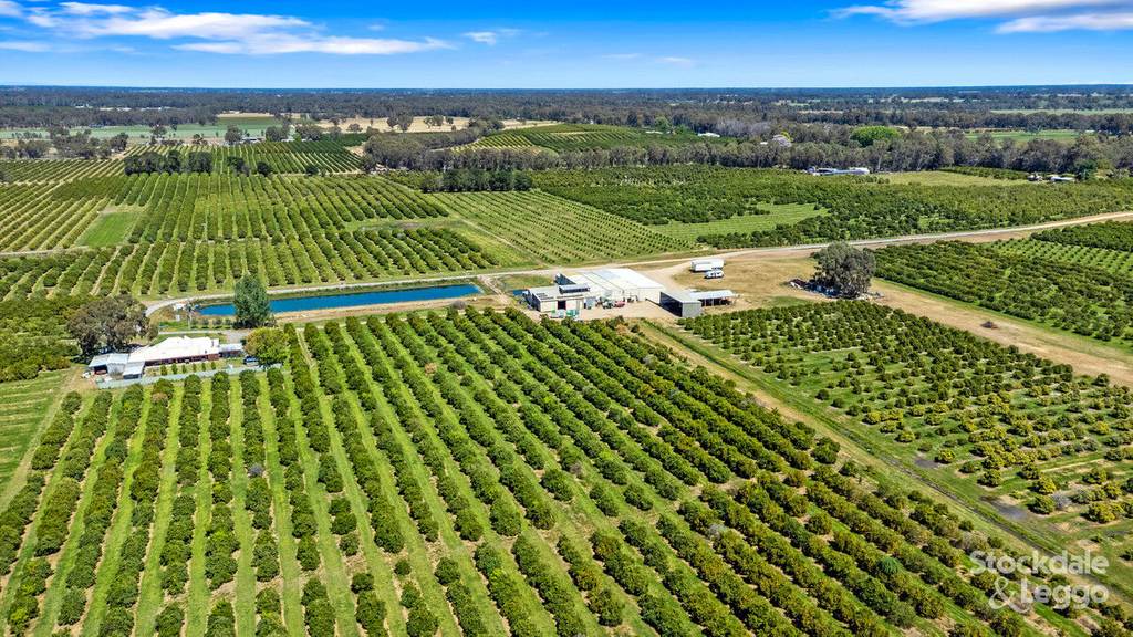 154-198 Torgannah Road, Koonoomoo VIC 3644