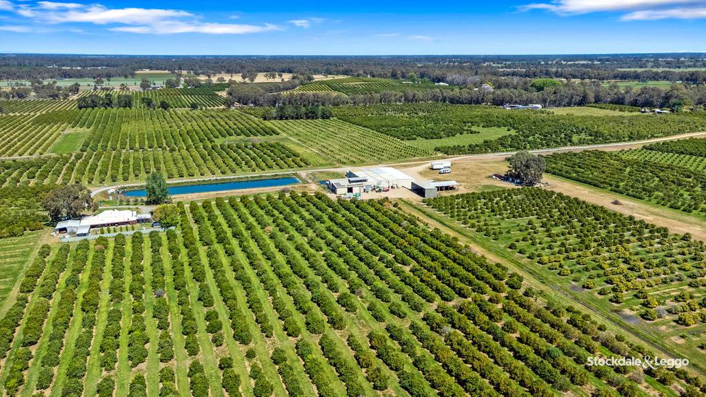 154-198 Torgannah Road, Koonoomoo VIC 3644