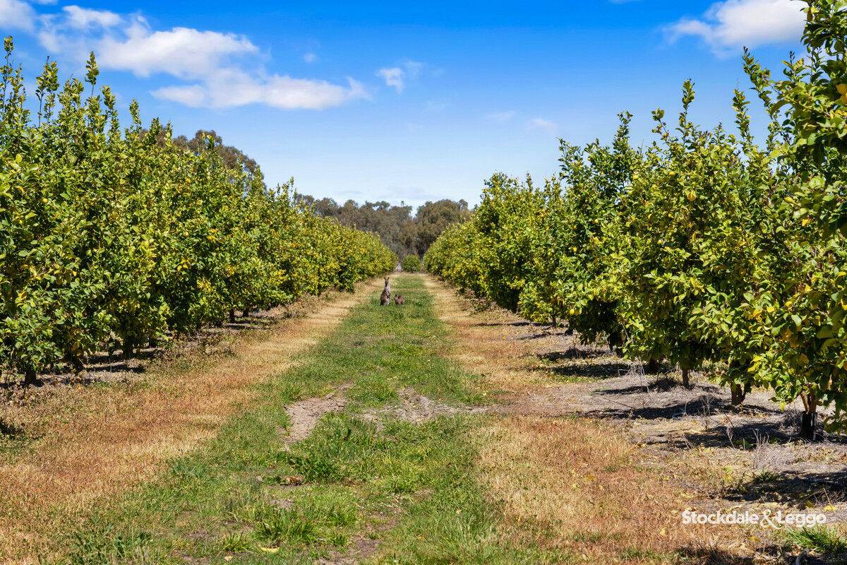 154-198 Torgannah Road, Koonoomoo For Sale by Farmbuy.com - image 34