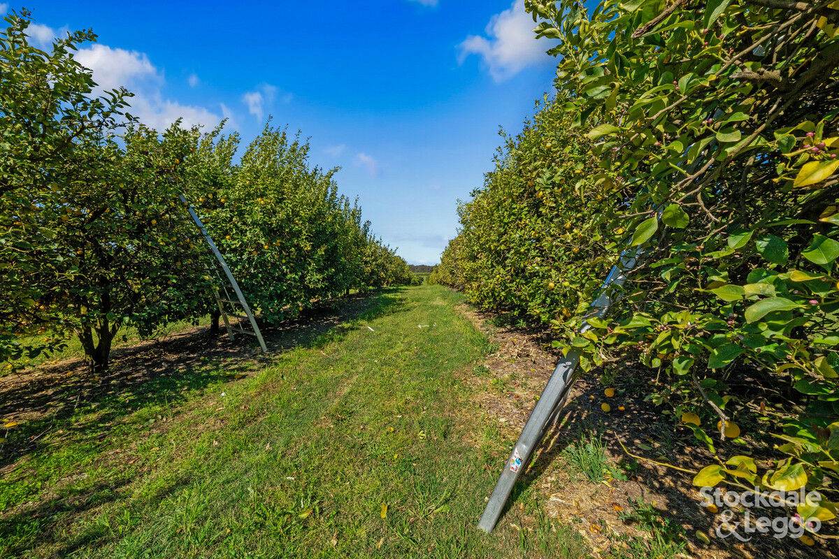 154-198 Torgannah Road, Koonoomoo For Sale by Farmbuy.com - image 3