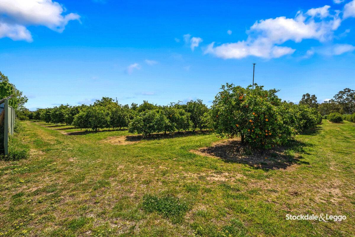 154-198 Torgannah Road, Koonoomoo For Sale by Farmbuy.com - image 28