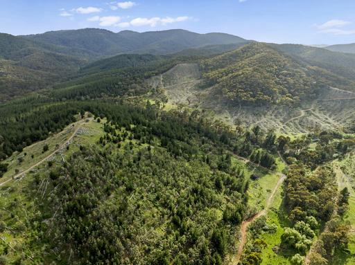 259 Hells Hole Creek Road, Bonnie Doon VIC 3720