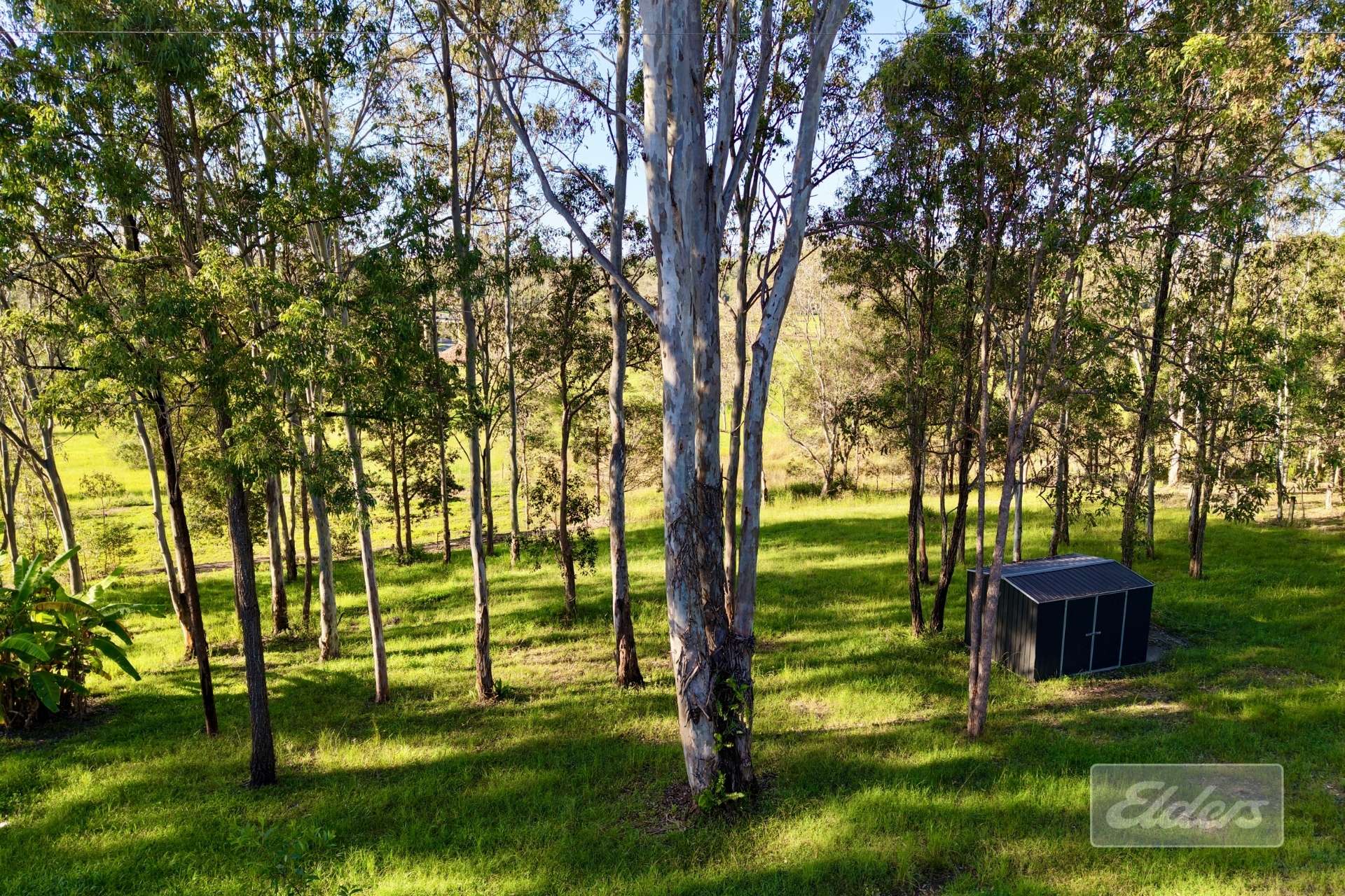 53 Gericke Road, Woondum For Sale by Farmbuy.com - image 5