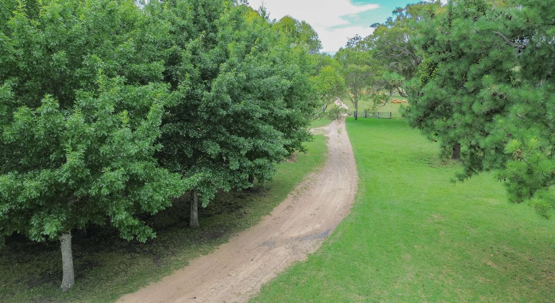 80 Tooloom Street, Legume For Sale by Farmbuy.com - image 8