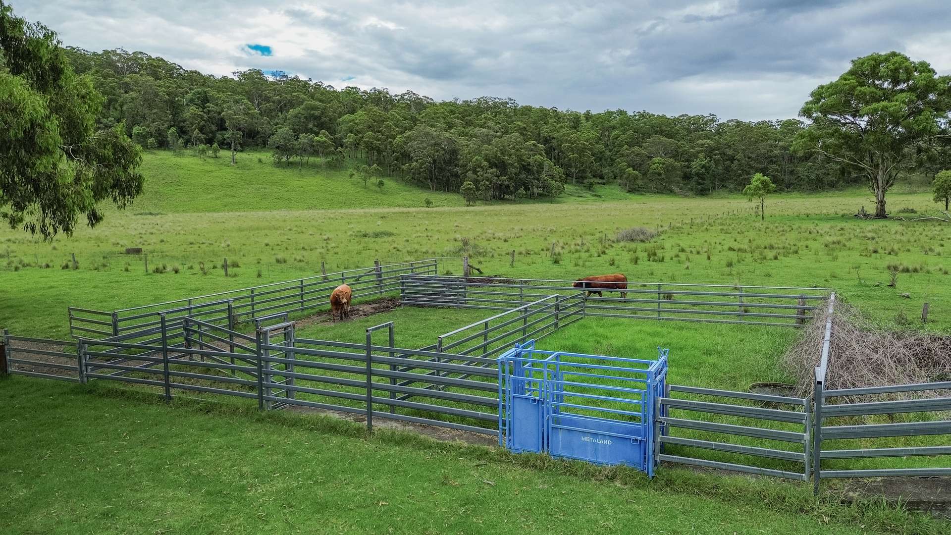 80 Tooloom Street, Legume For Sale by Farmbuy.com - image 25