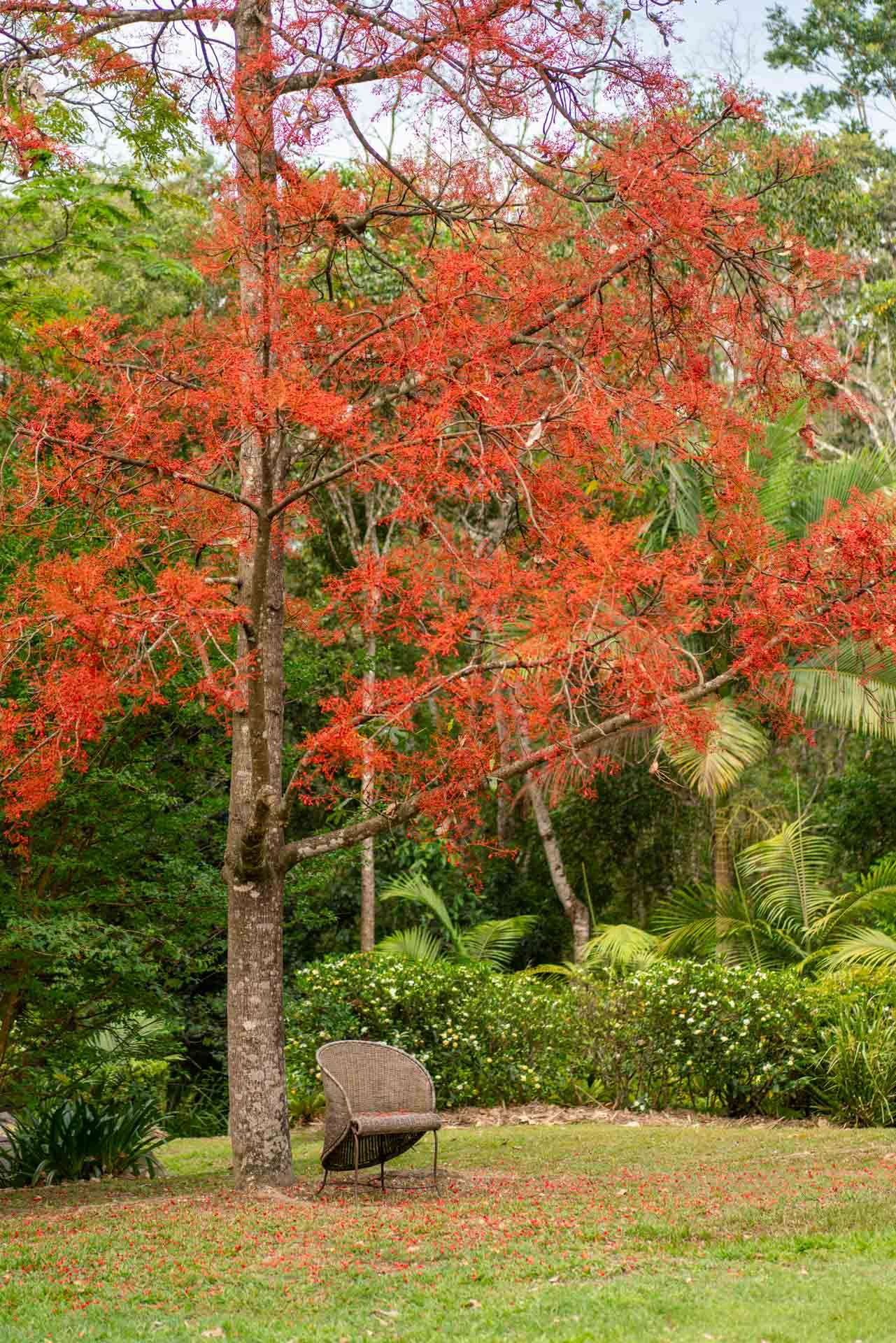 48 Pioneer Road, Pomona For Sale by Farmbuy.com - image 24