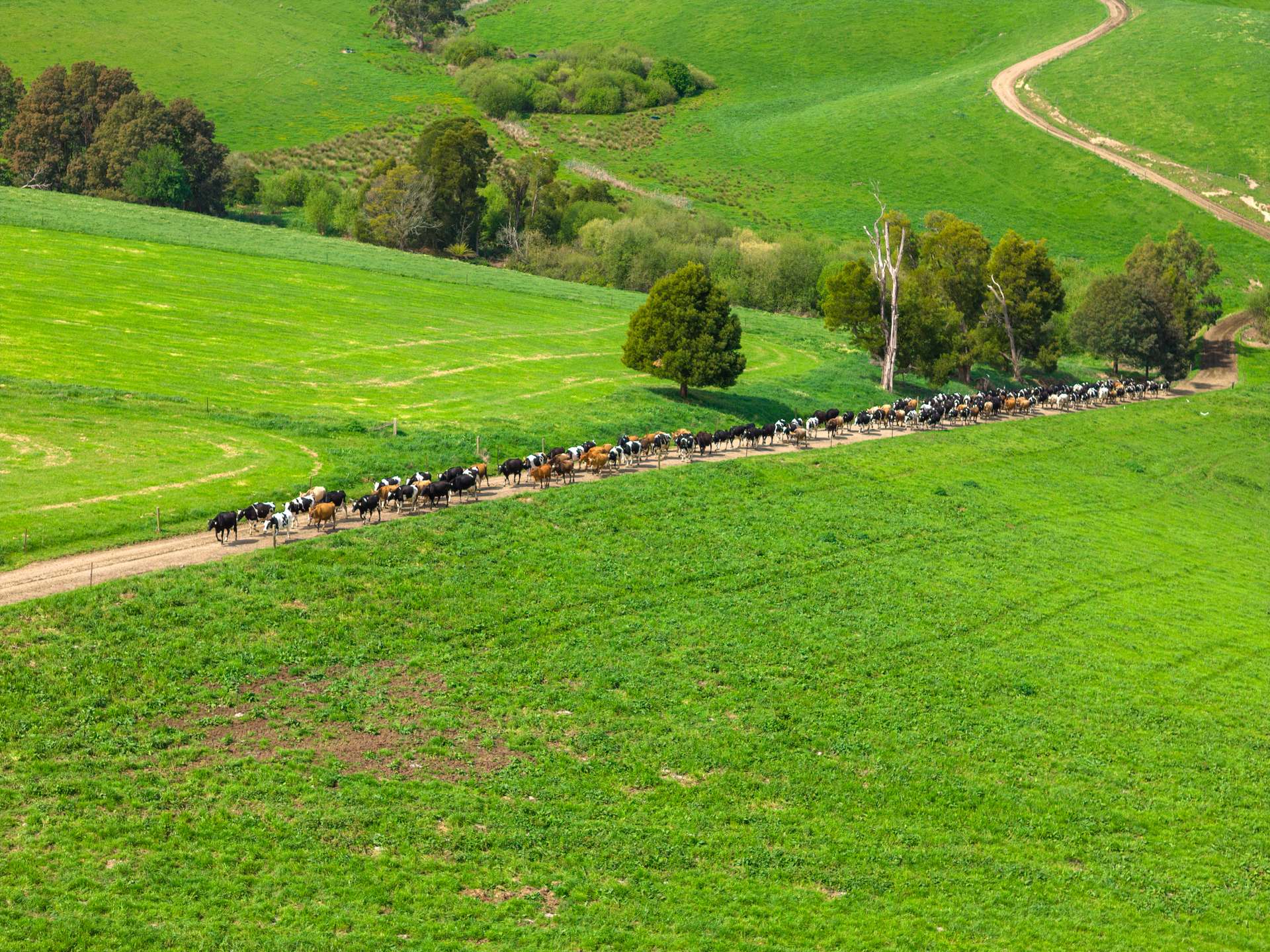 2236 Main Neerim Road, Neerim South For Sale by Farmbuy.com - image 12